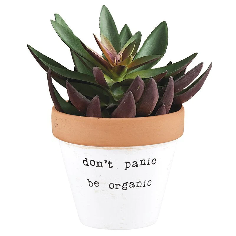 Adopt a Plant Mug and Don't Panic Be Organic Plant Pot Bundle - Image 4