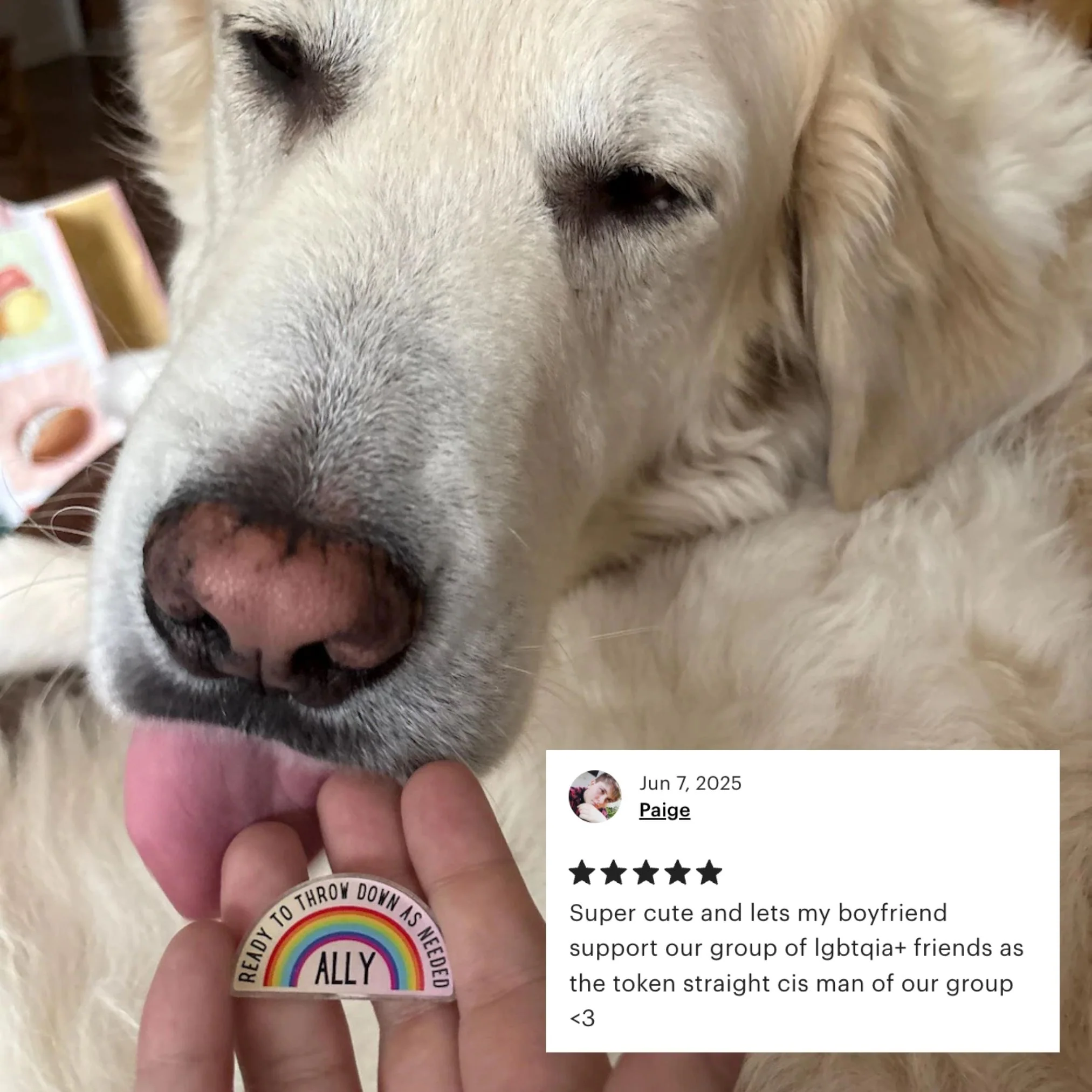 Ally Ready to Throw Down LGBTQ Rainbow Acrylic Lapel Pin - Image 17