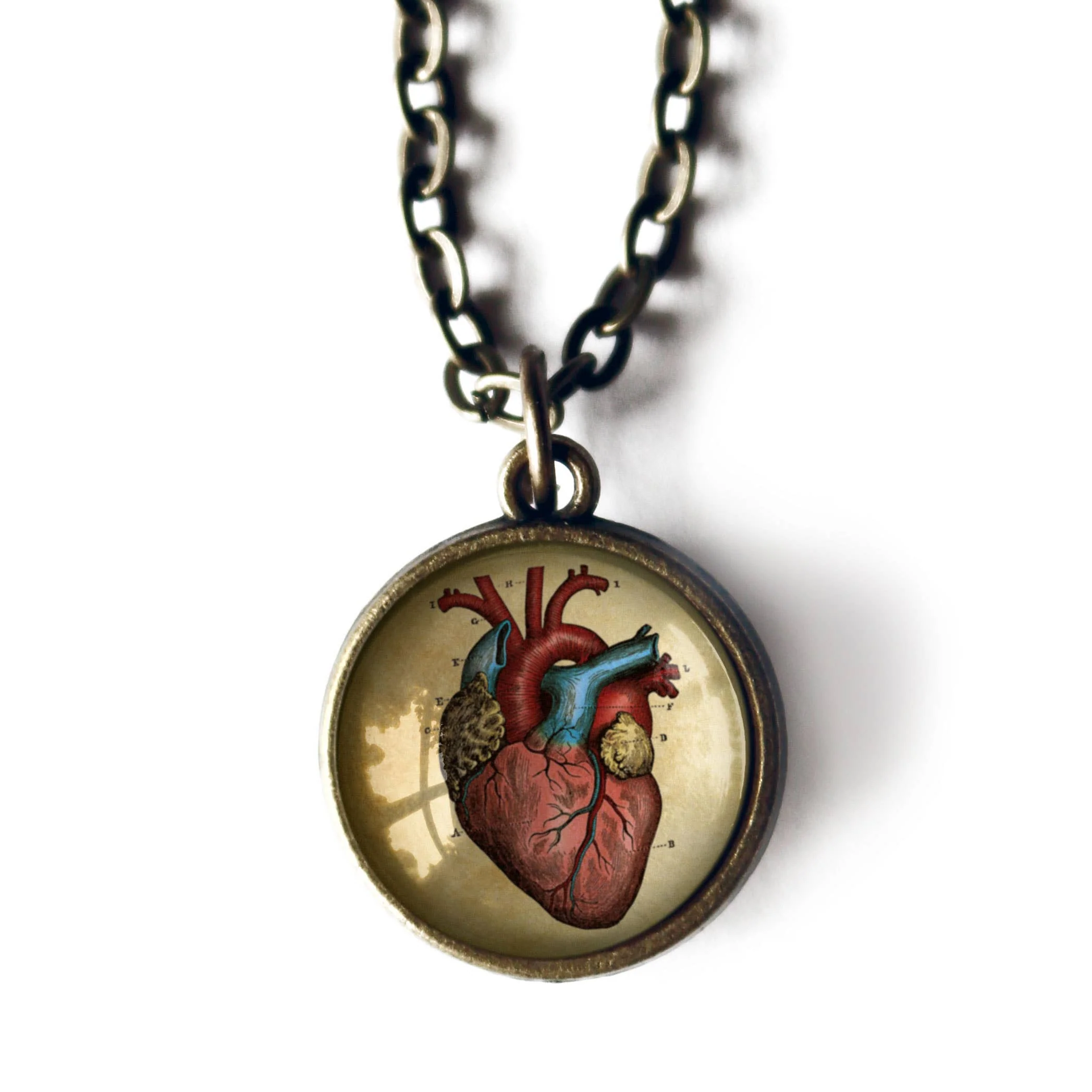 Anatomical Human Heart Reversible Pendant Necklace | Glass Cabochon Bronze Necklace | Gothic Anatomy Jewelry - Image 2