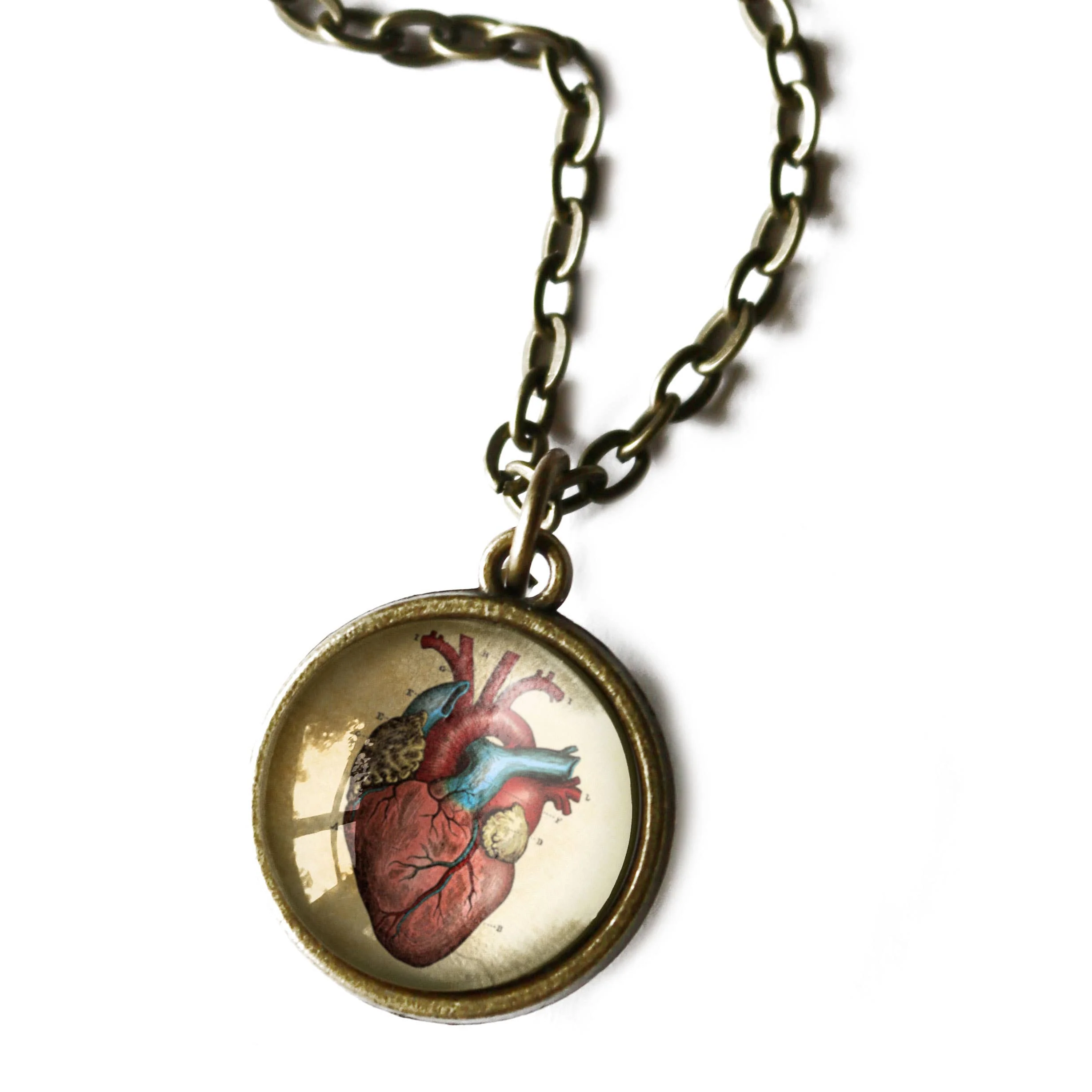 Anatomical Human Heart Reversible Pendant Necklace | Glass Cabochon Bronze Necklace | Gothic Anatomy Jewelry - Image 3