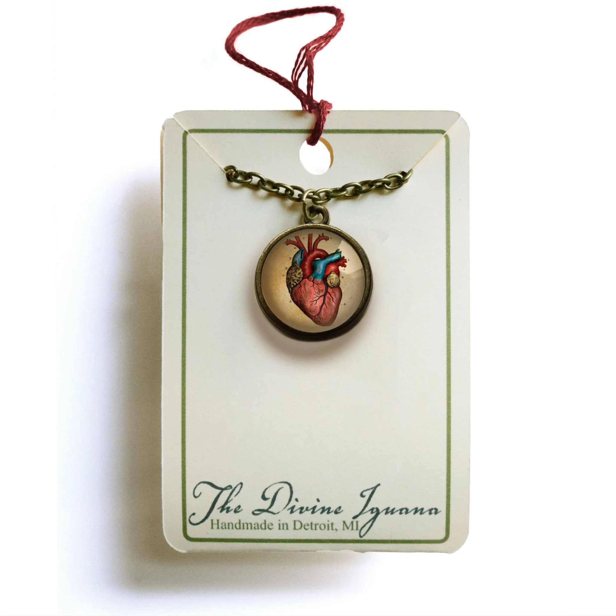 Anatomical Human Heart Reversible Pendant Necklace | Glass Cabochon Bronze Necklace | Gothic Anatomy Jewelry - Image 4