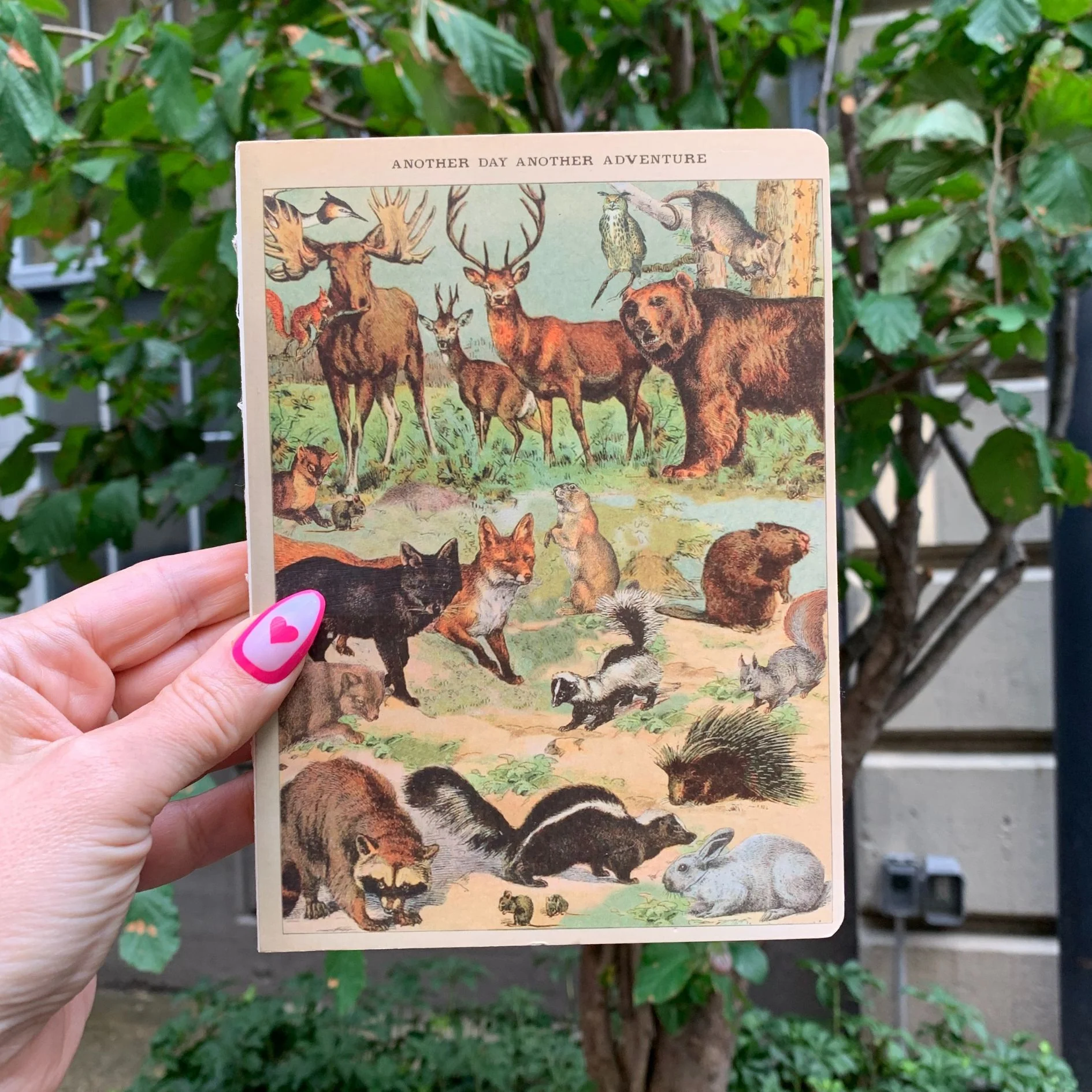 Vintage Zoologica Double-Sided Journal | "Another Day Another Adventure" Wild Animals Notebook