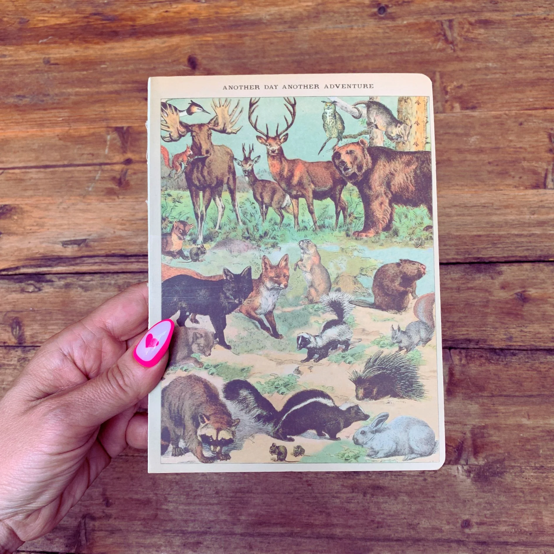 Vintage Zoologica Double-Sided Journal | "Another Day Another Adventure" Wild Animals Notebook - Image 3