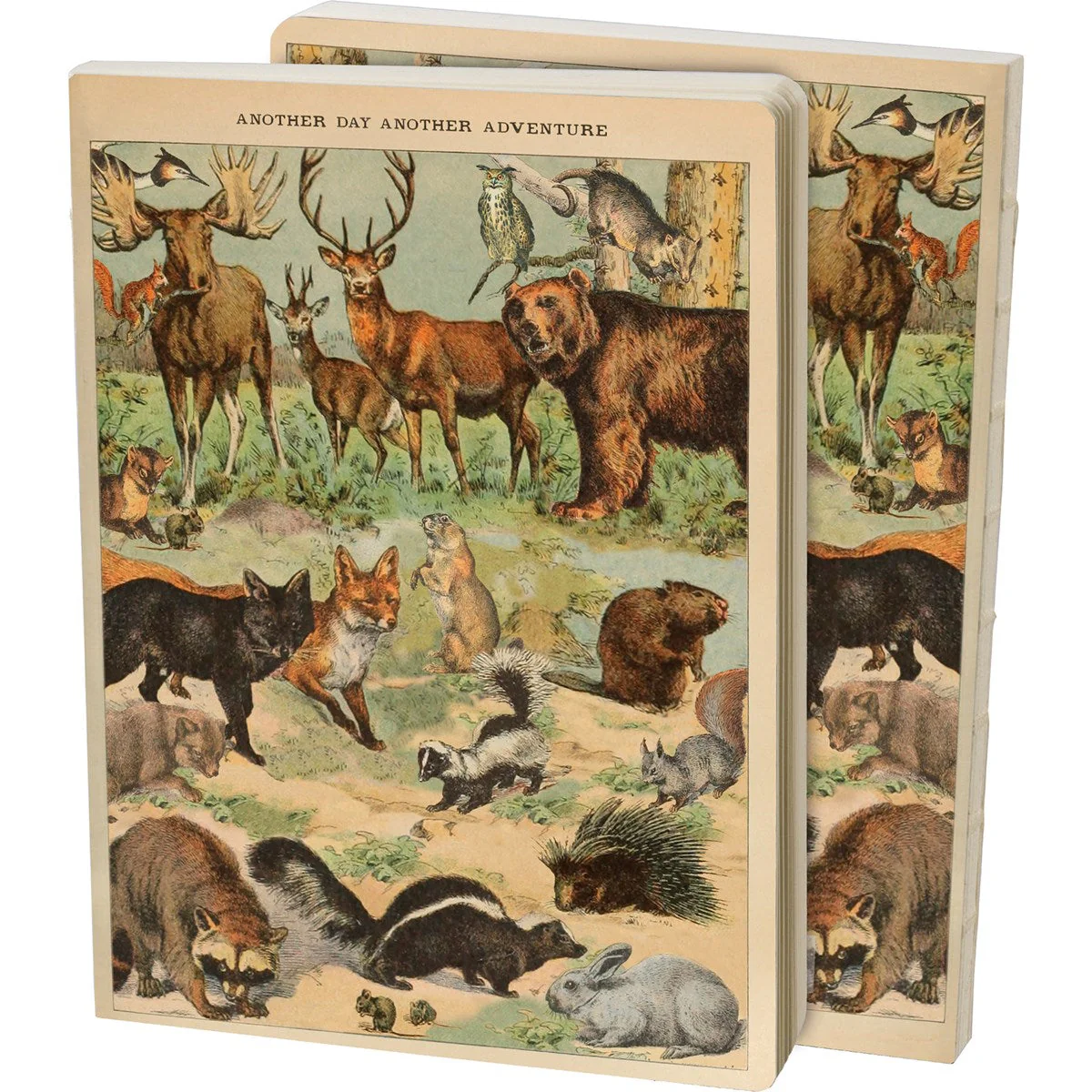 Vintage Zoologica Double-Sided Journal | "Another Day Another Adventure" Wild Animals Notebook - Image 4