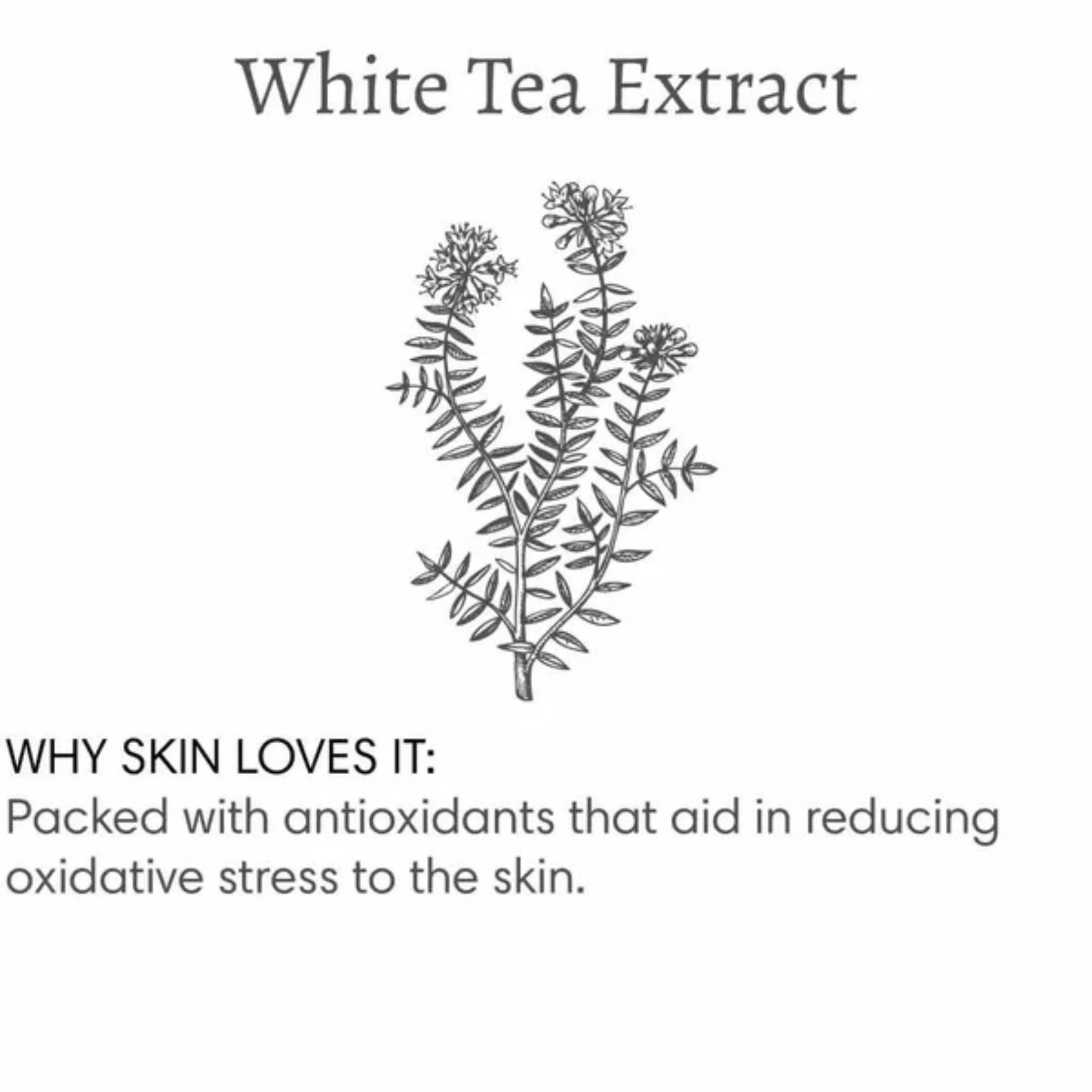 Apricot Brandy Bubble Bath – Oat Oil & White Tea Extract | Warm Fruity Scent | 120ml / 4 fl oz - Image 4
