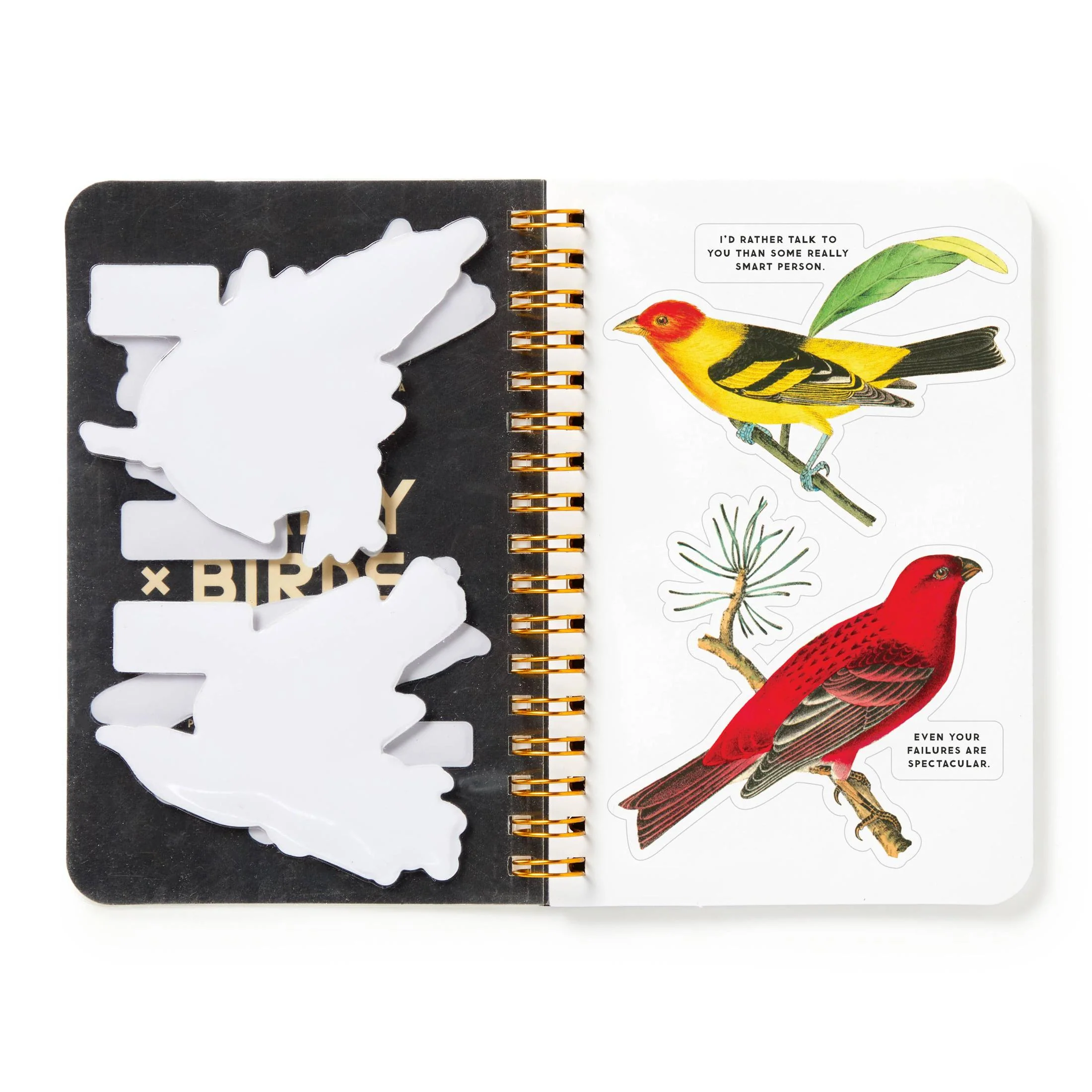 Brass Monkey Salty Birds Sticker Book | Vintage Illustrations Decals - Image 6
