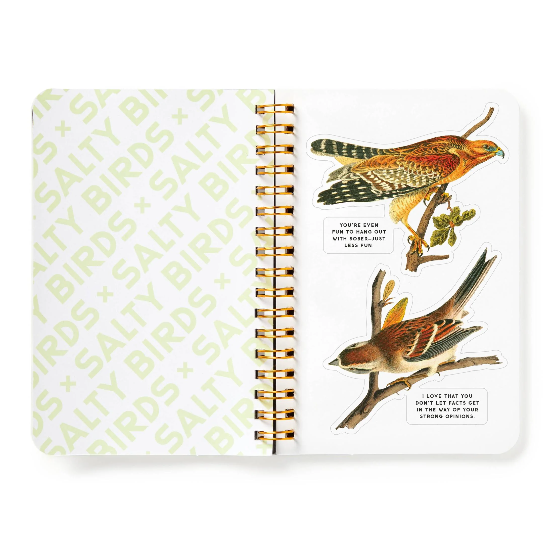 Brass Monkey Salty Birds Sticker Book | Vintage Illustrations Decals - Image 8