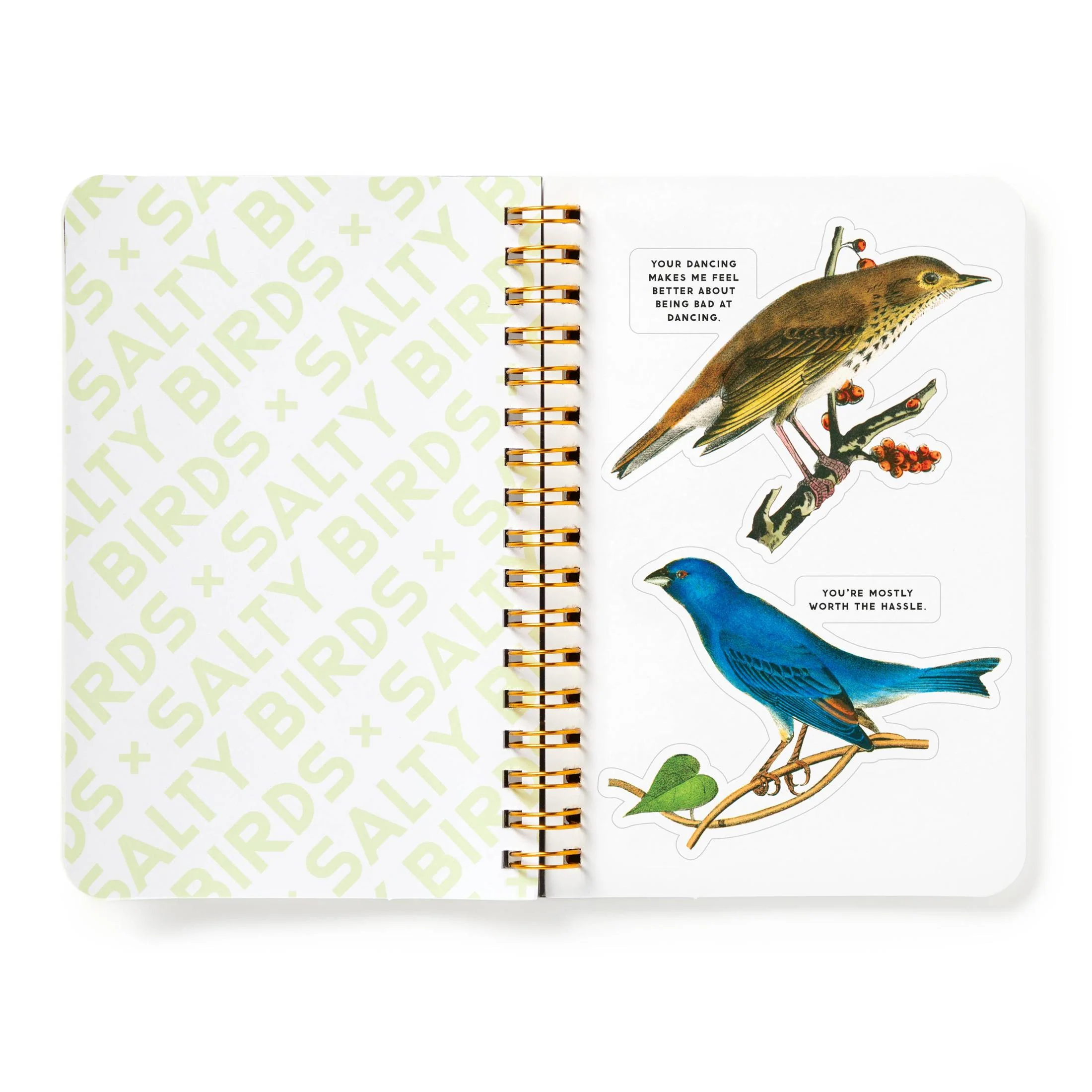 Brass Monkey Salty Birds Sticker Book | Vintage Illustrations Decals - Image 9