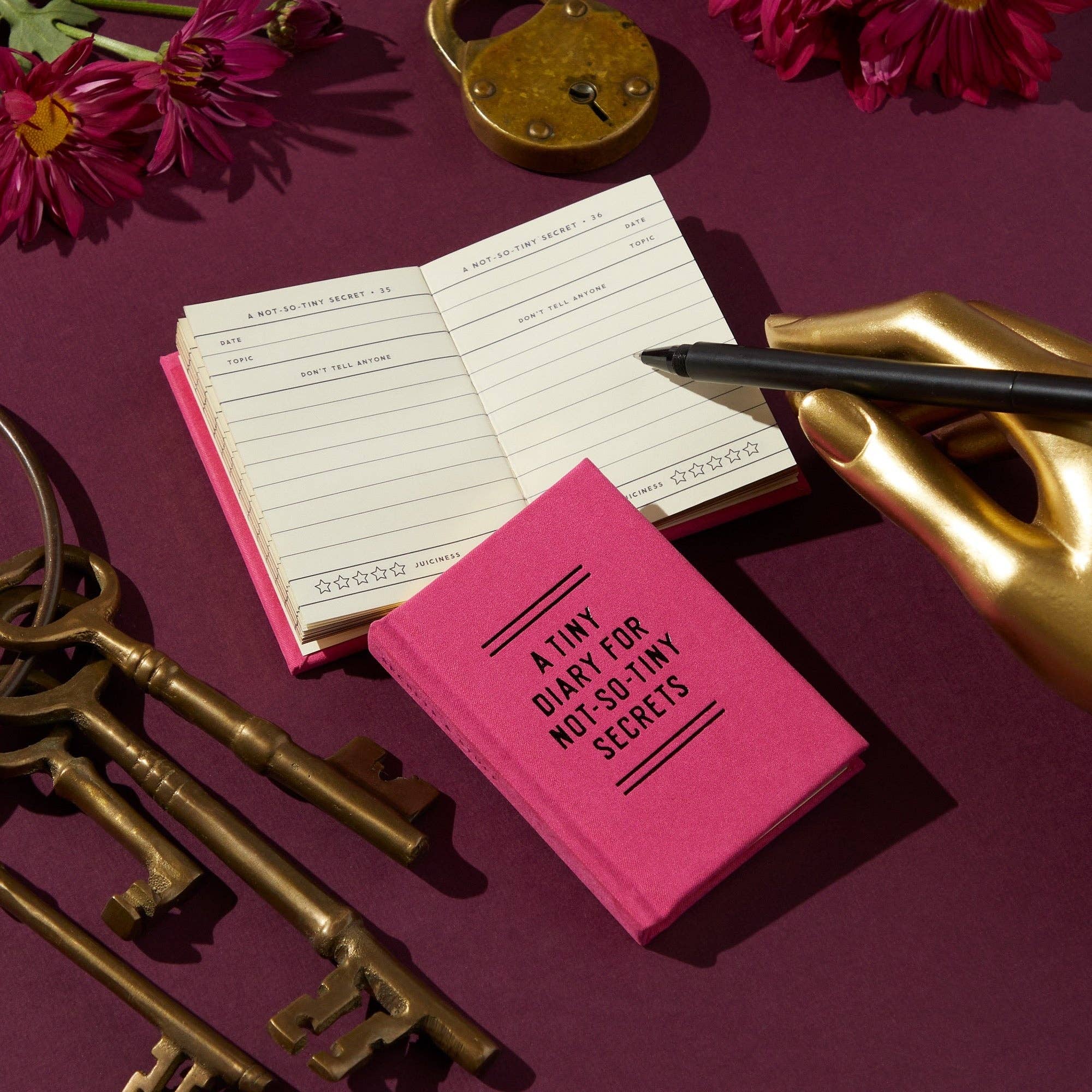 Brass Monkey Tiny Diary for Not So Tiny Secrets | Mini Record Journal Notebook | 2.75” x 3.75” - Image 2