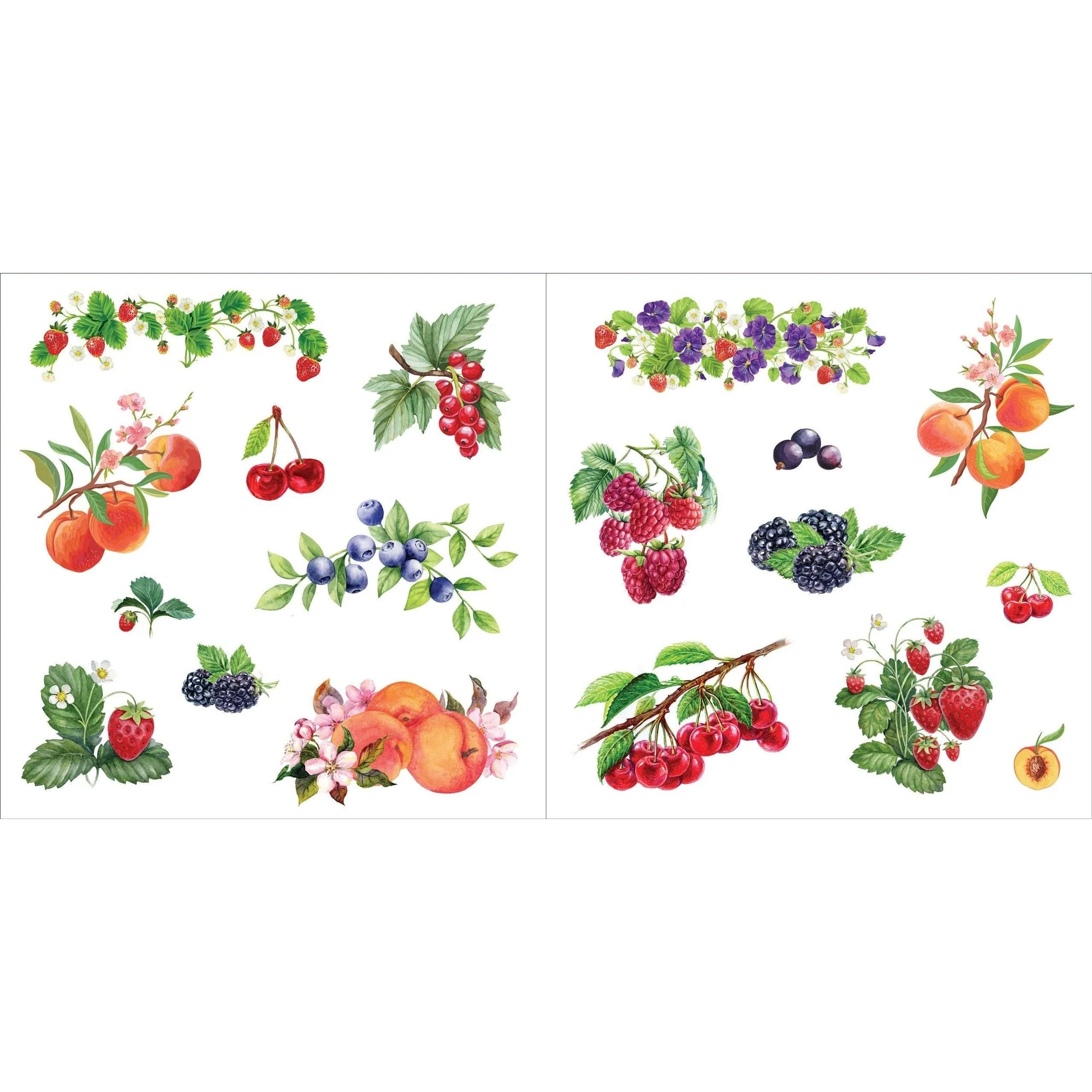 Bunches of Botanicals Decorative Stickers | A Blooming Sticker Book | Over 500 Decals - Image 14