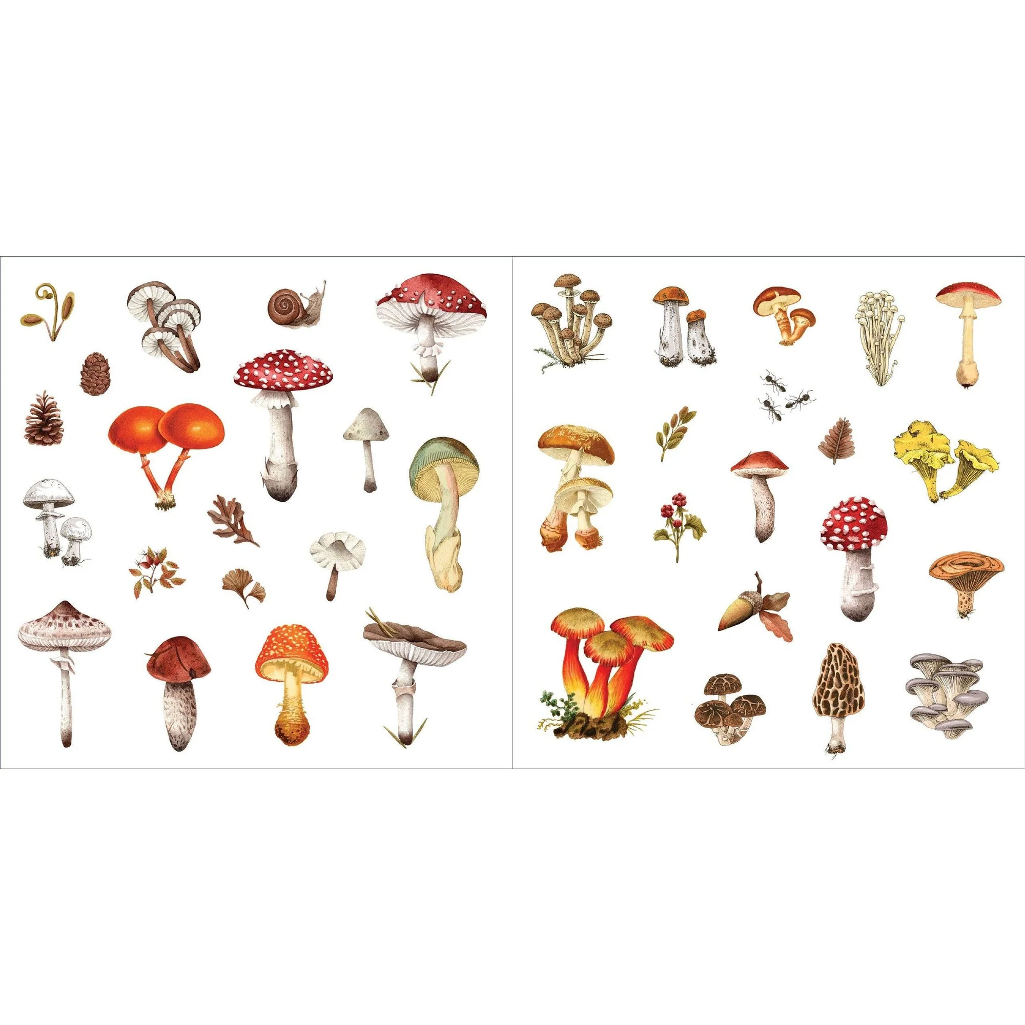 Bunches of Botanicals Decorative Stickers | A Blooming Sticker Book | Over 500 Decals - Image 18