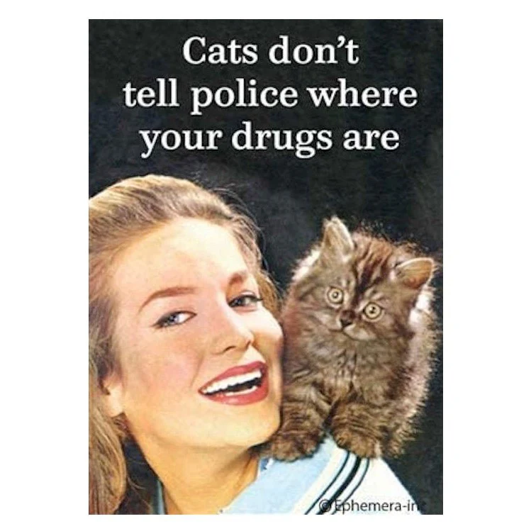 Cats Don't Tell Police Where Your Drugs Are Magnet - Image 2