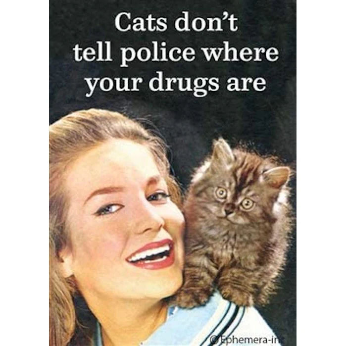 Cats Don't Tell Police Where Your Drugs Are Magnet - Image 3