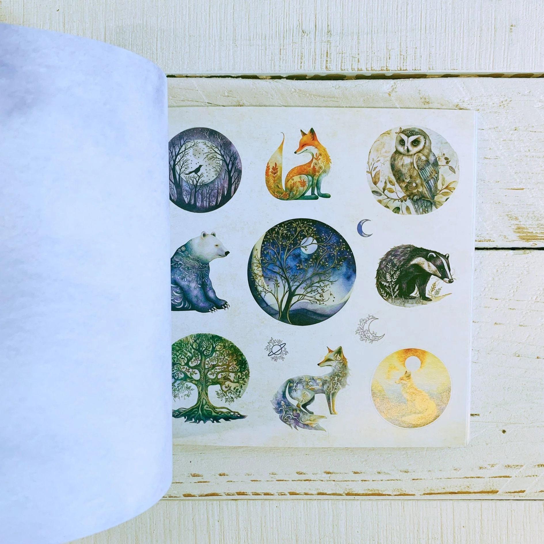 Celestial Wonders Sticker Book | Cosmic Planets Stars | Over 900 Stickers - Image 19