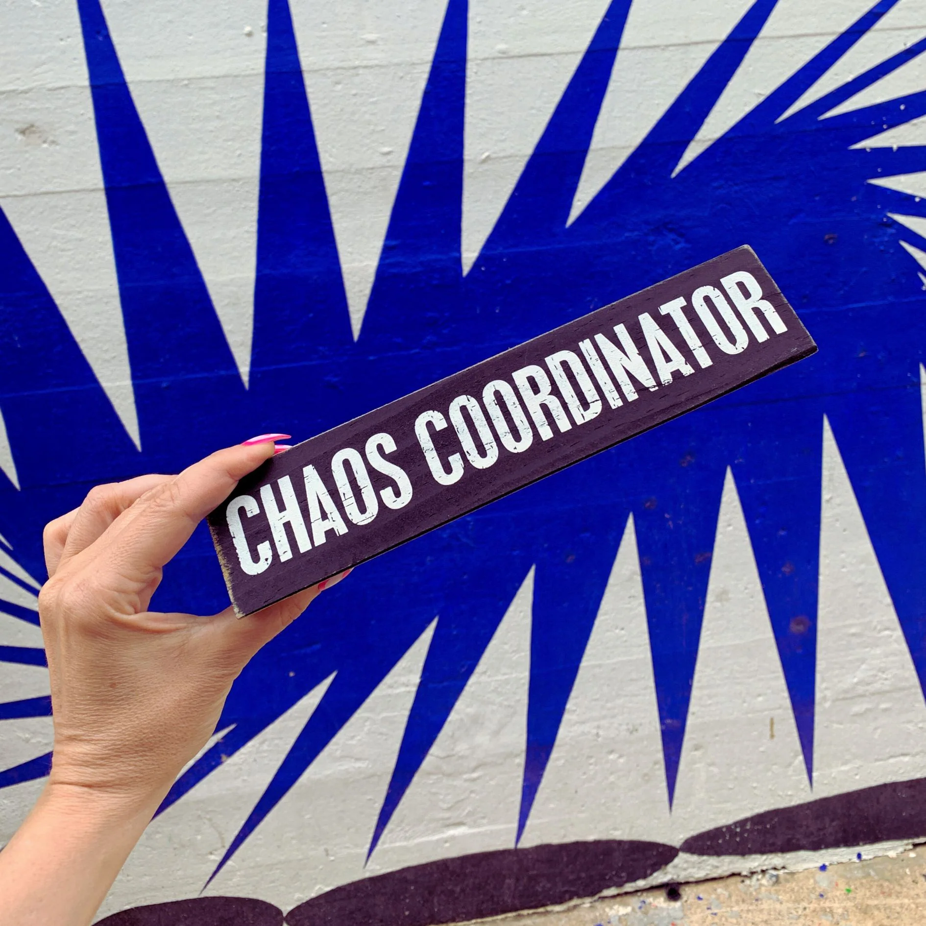 Chaos Coordinator / Director Of Sarcasm Reversible Wooden Desk Plate - Image 6