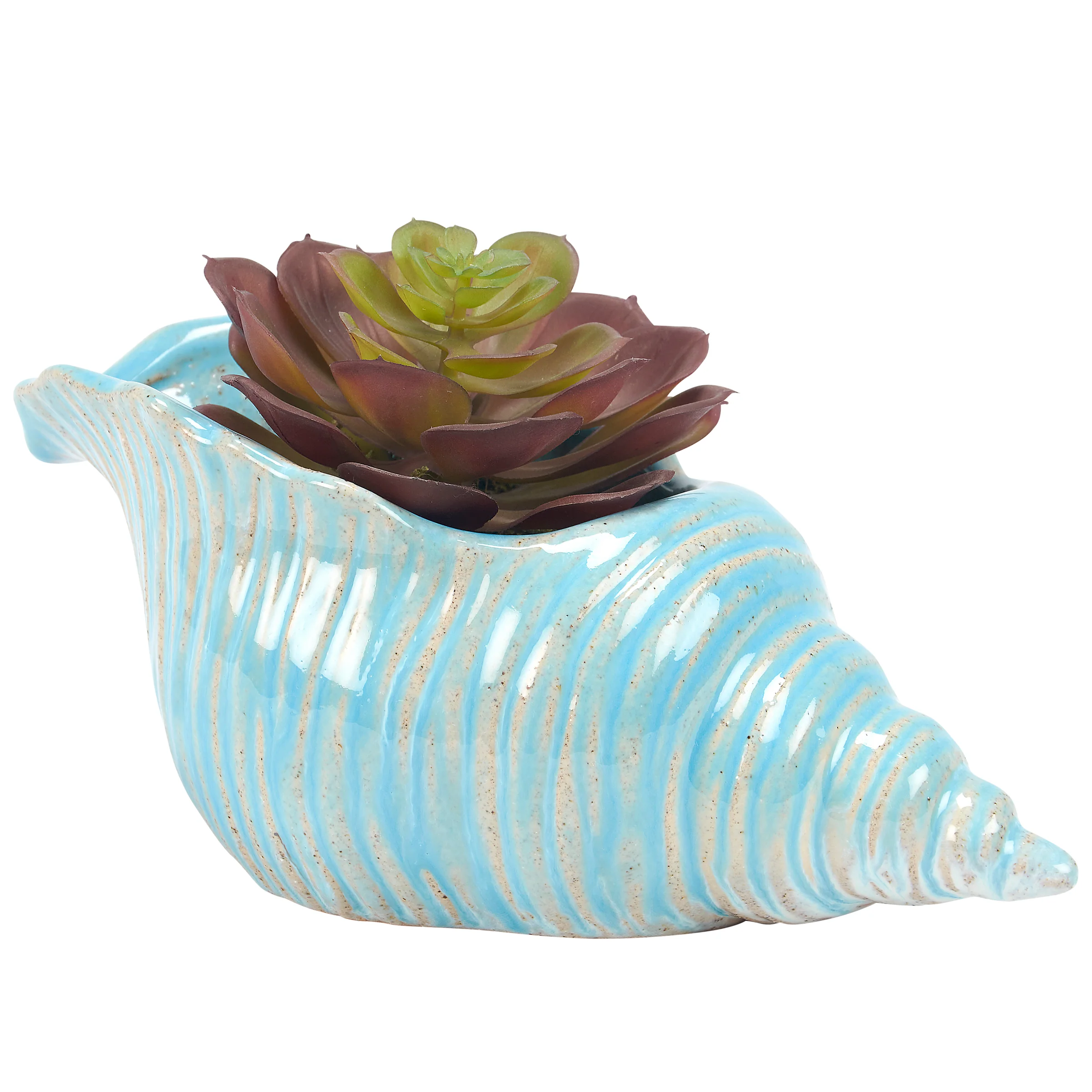 Conch Shell Planter in Beach Blue Glaze Finish - Image 3
