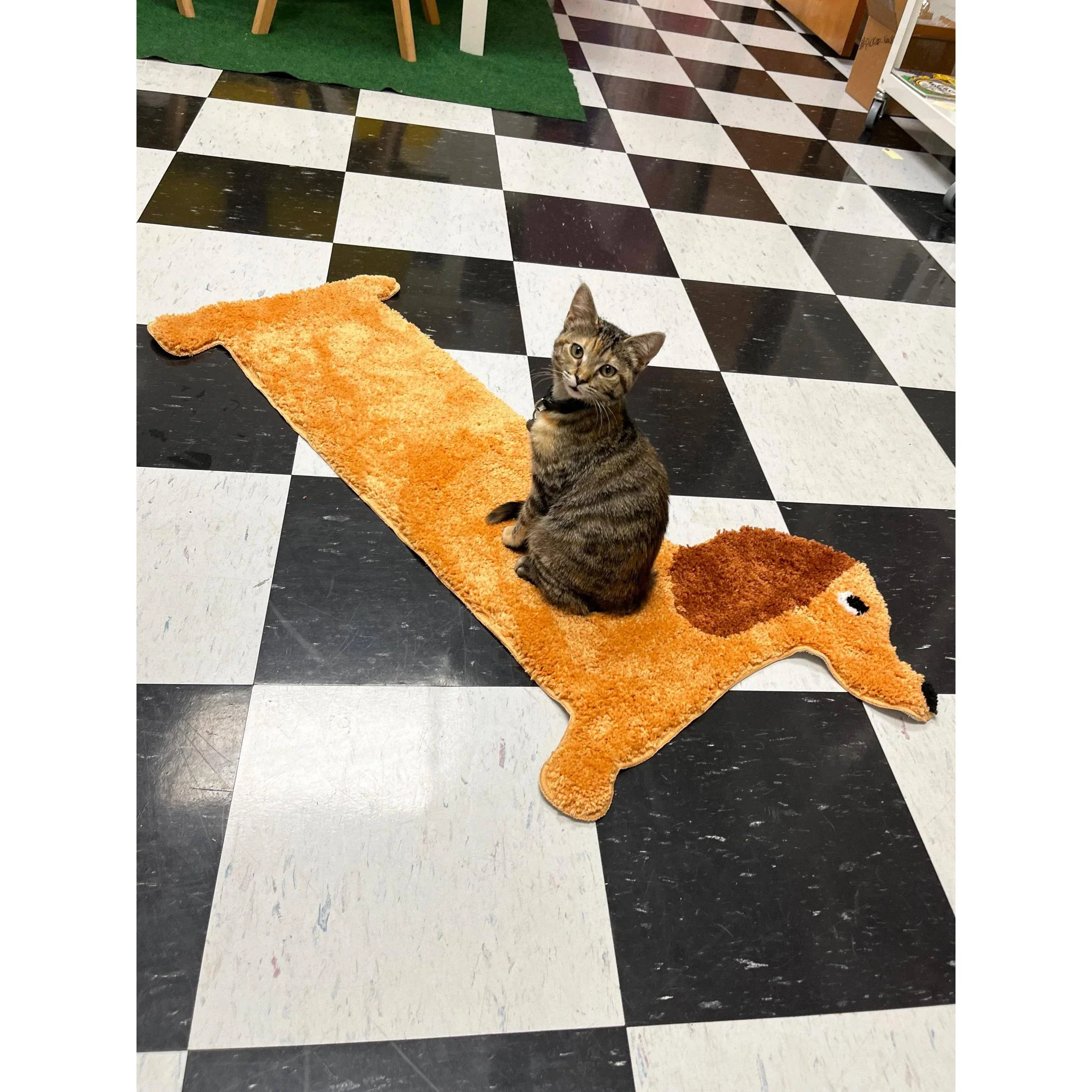 Dachshund Design Polyester Door | Long Dog Rug with Slip-resistant Backing - Image 2