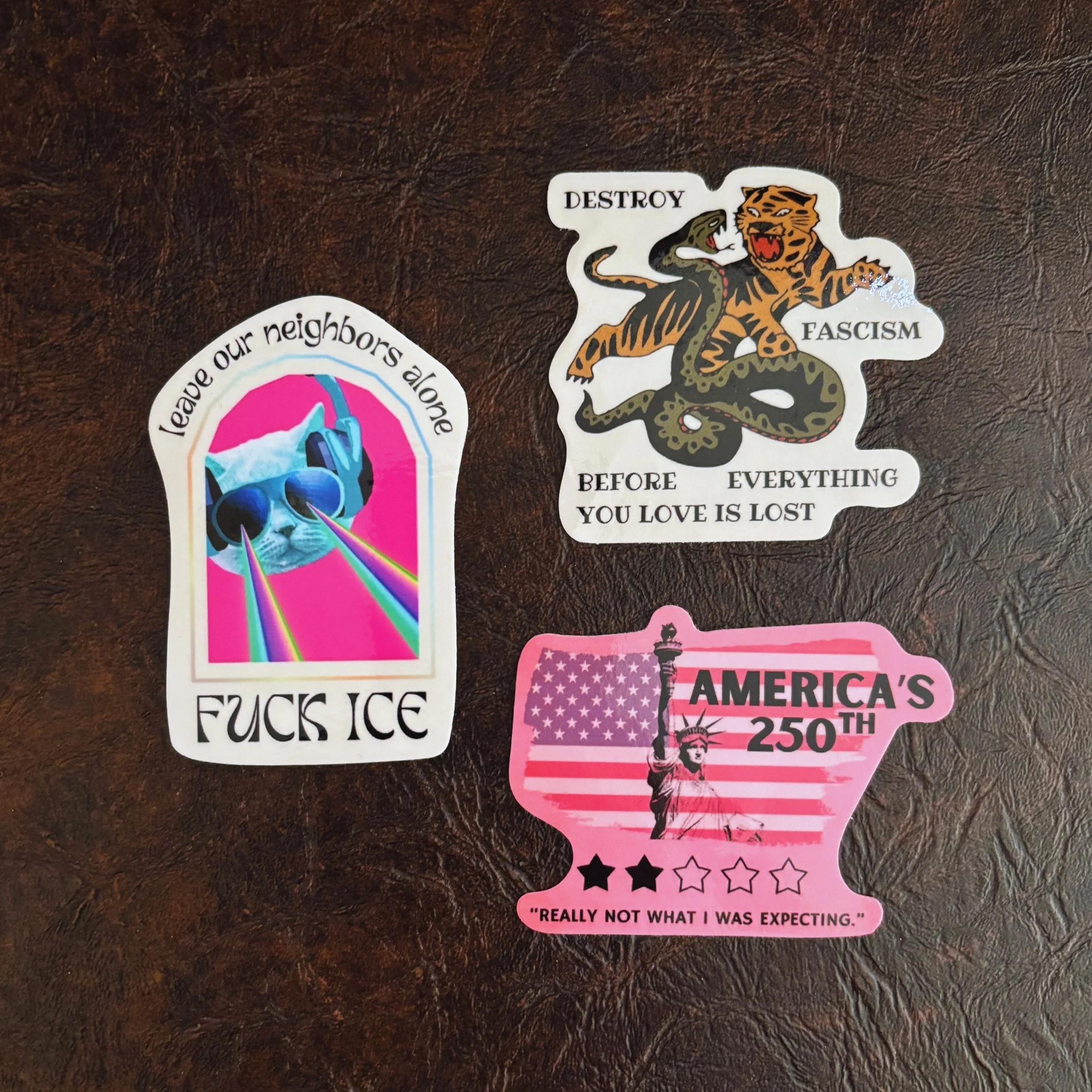 Fuck ICE Leave Our Neighbors Alone Sticker with Laser Eyes Cat - Image 5