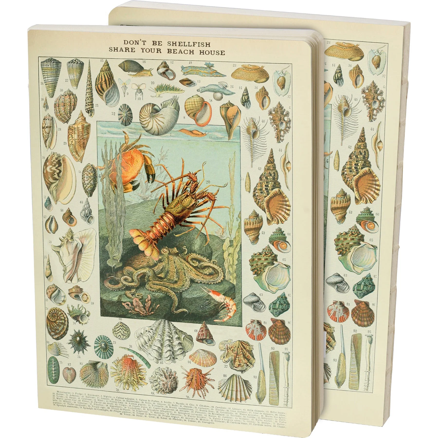 Don't Be Shellfish Double-sided Journal | Sea Creature Designs Notebook | 160 Lined Pages - Image 2