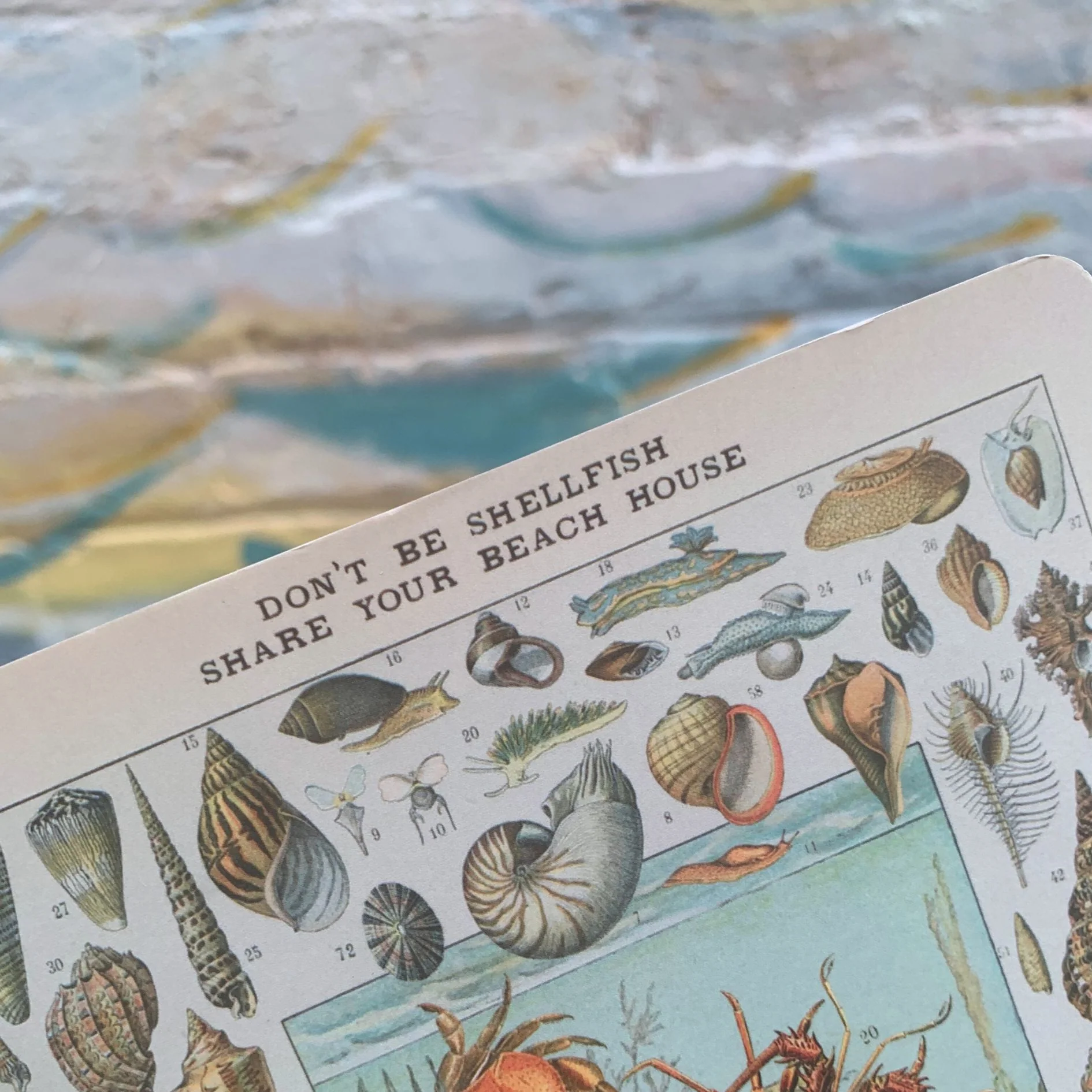 Don't Be Shellfish Double-sided Journal | Sea Creature Designs Notebook | 160 Lined Pages - Image 4