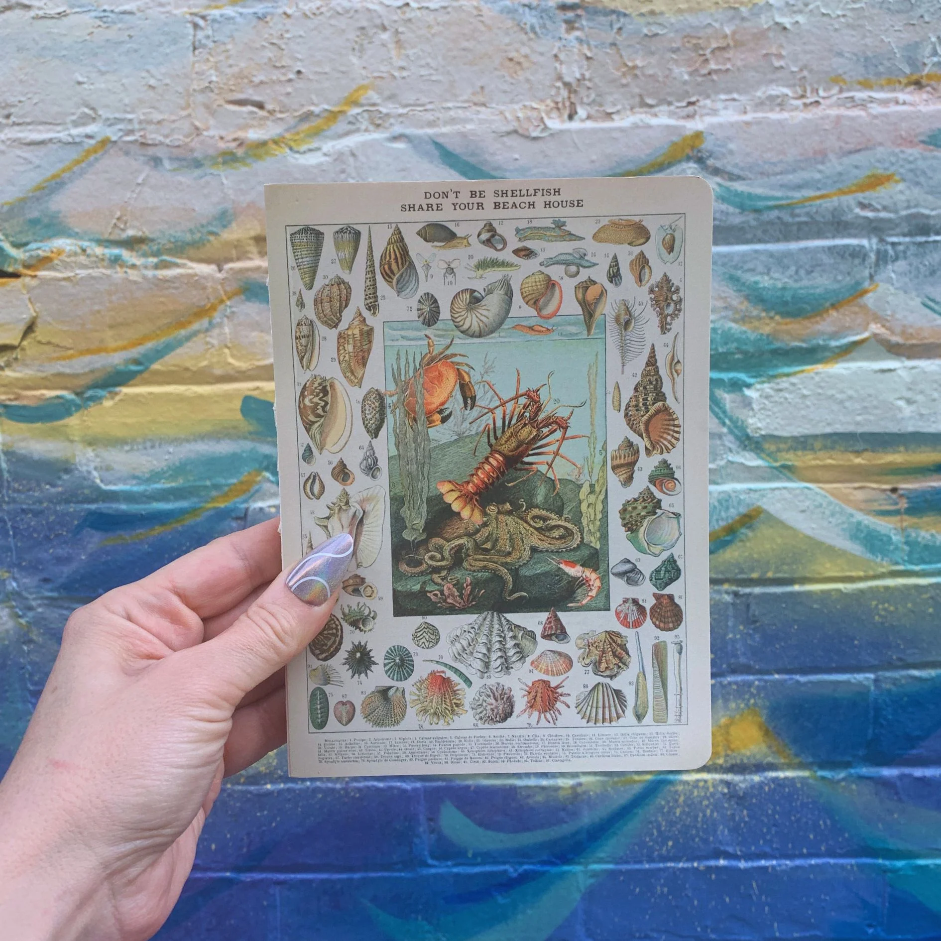 Don't Be Shellfish Double-sided Journal | Sea Creature Designs Notebook | 160 Lined Pages - Image 5