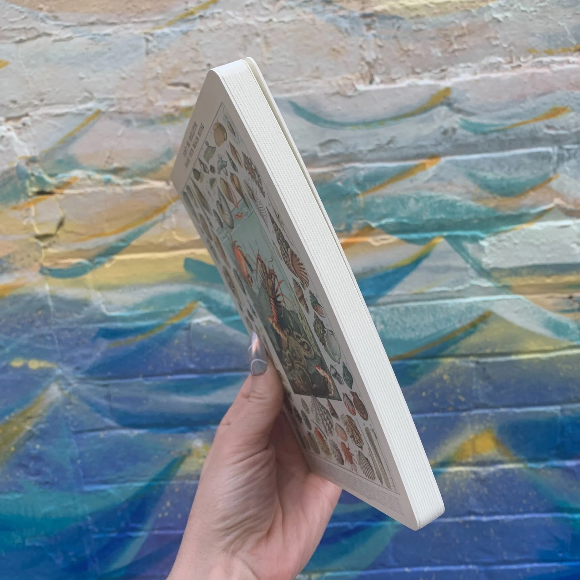 Don't Be Shellfish Double-sided Journal | Sea Creature Designs Notebook | 160 Lined Pages - Image 6