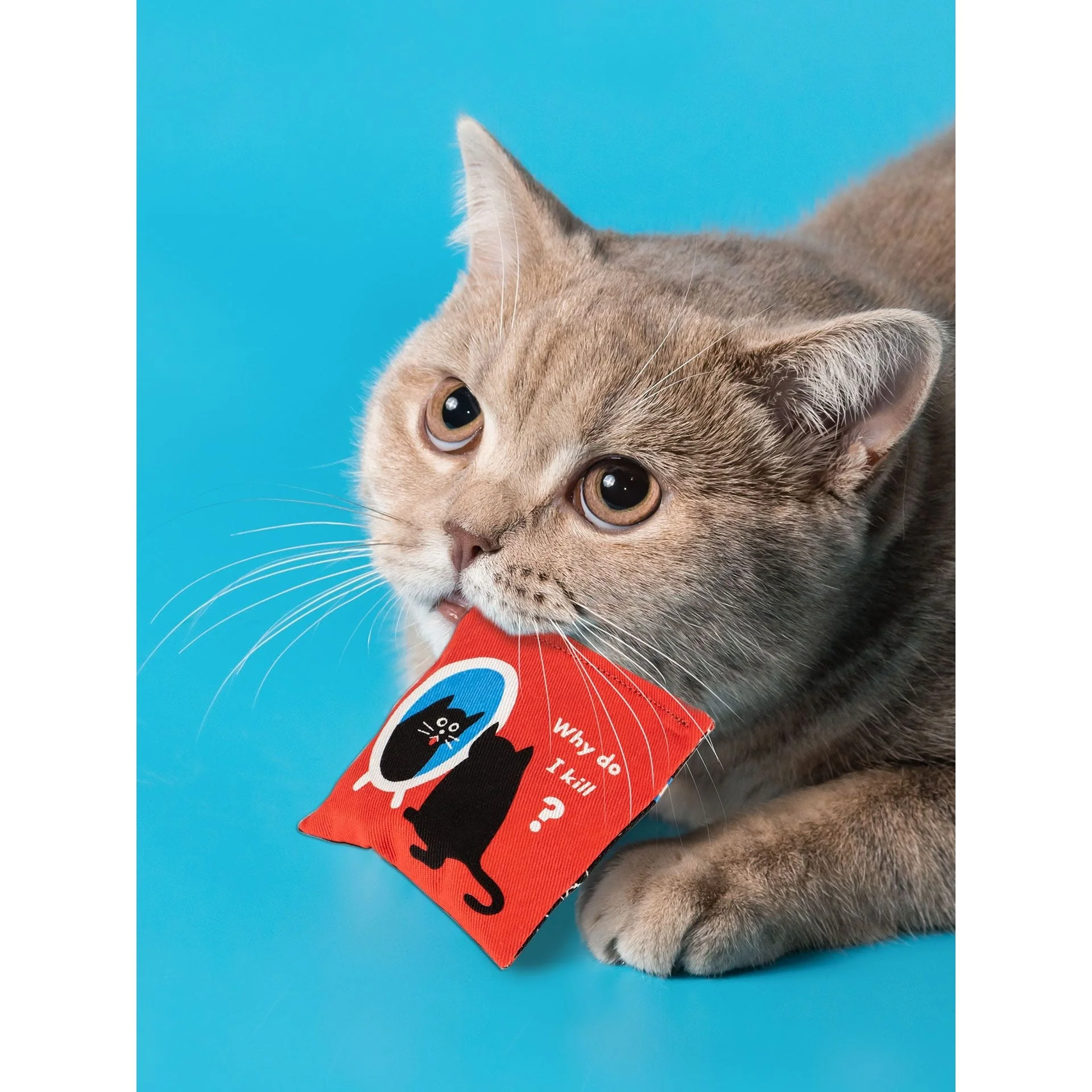 Existential Kitty Catnip Cat Toy | Premium Organic Catnip in Illustrated Cotton Pouch | BlueQ at GetBullish - Image 2