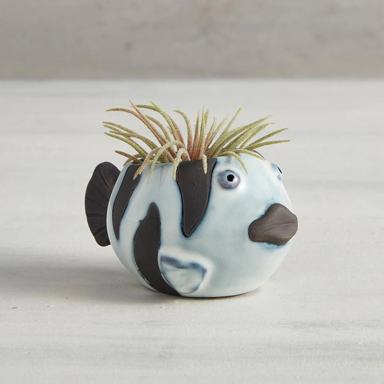 Striped Fish Mini Plant Pot | Succulent Planter | 2.2" Tall - Image 4