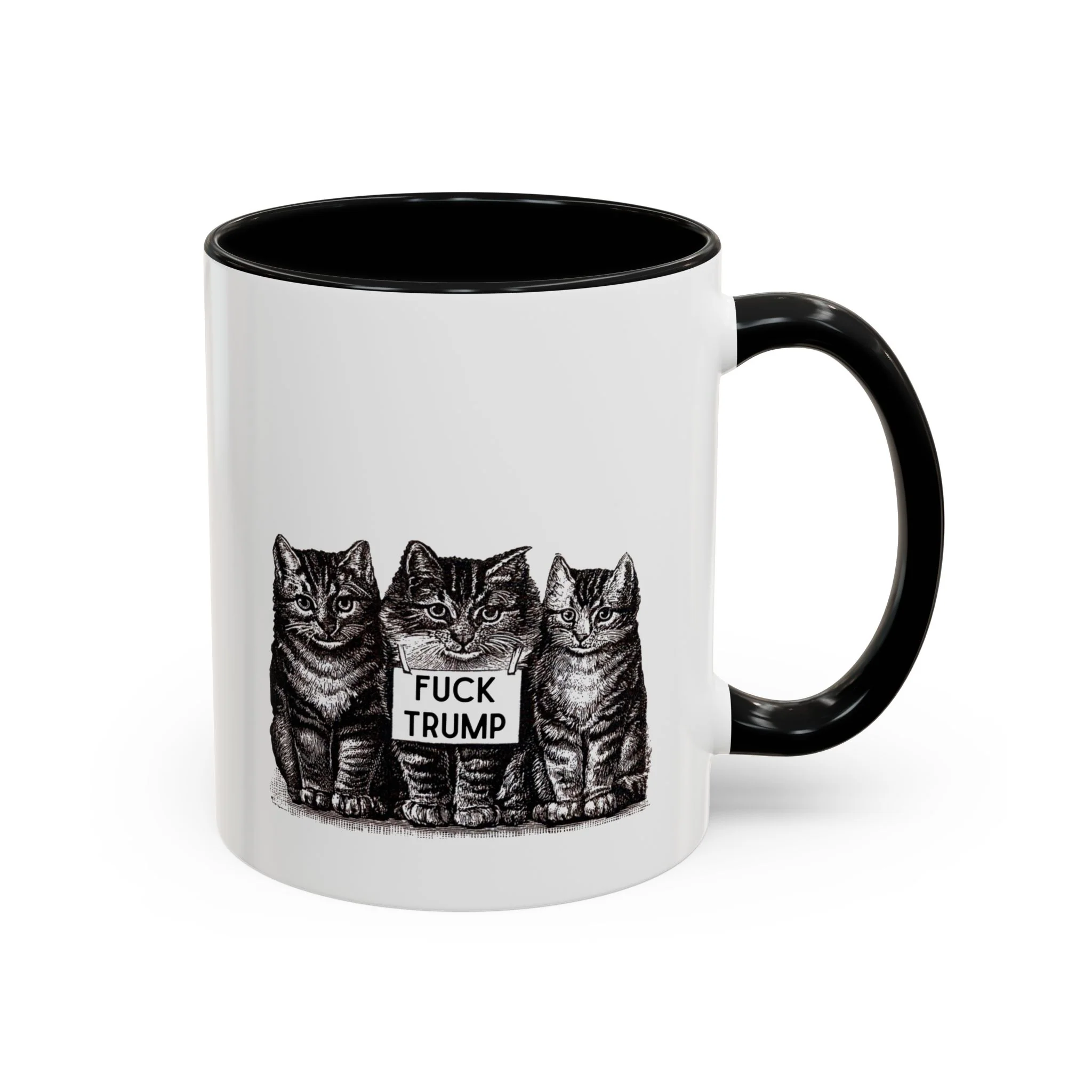 Fuck Trump Cats Accent Coffee Mug 11oz - Image 3
