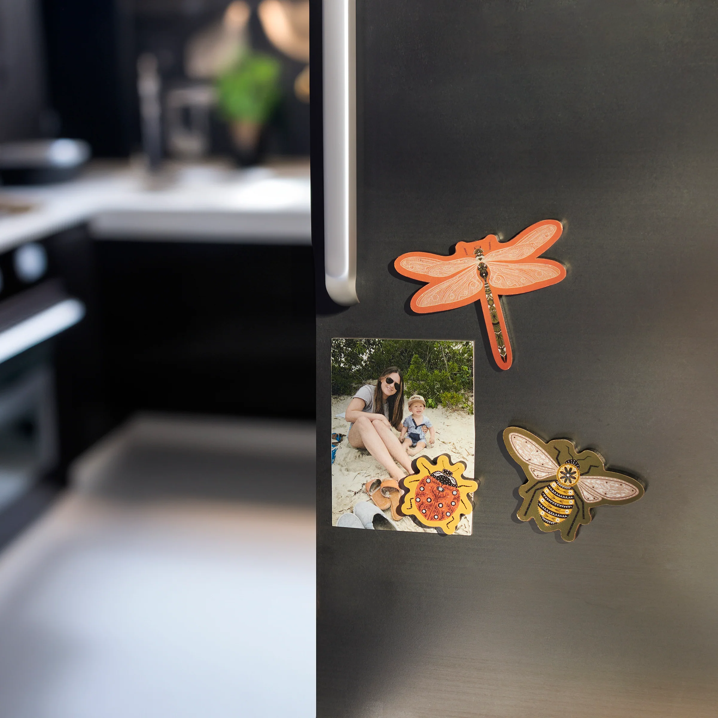 Garden Bug Magnet Set of 3 - Image 2