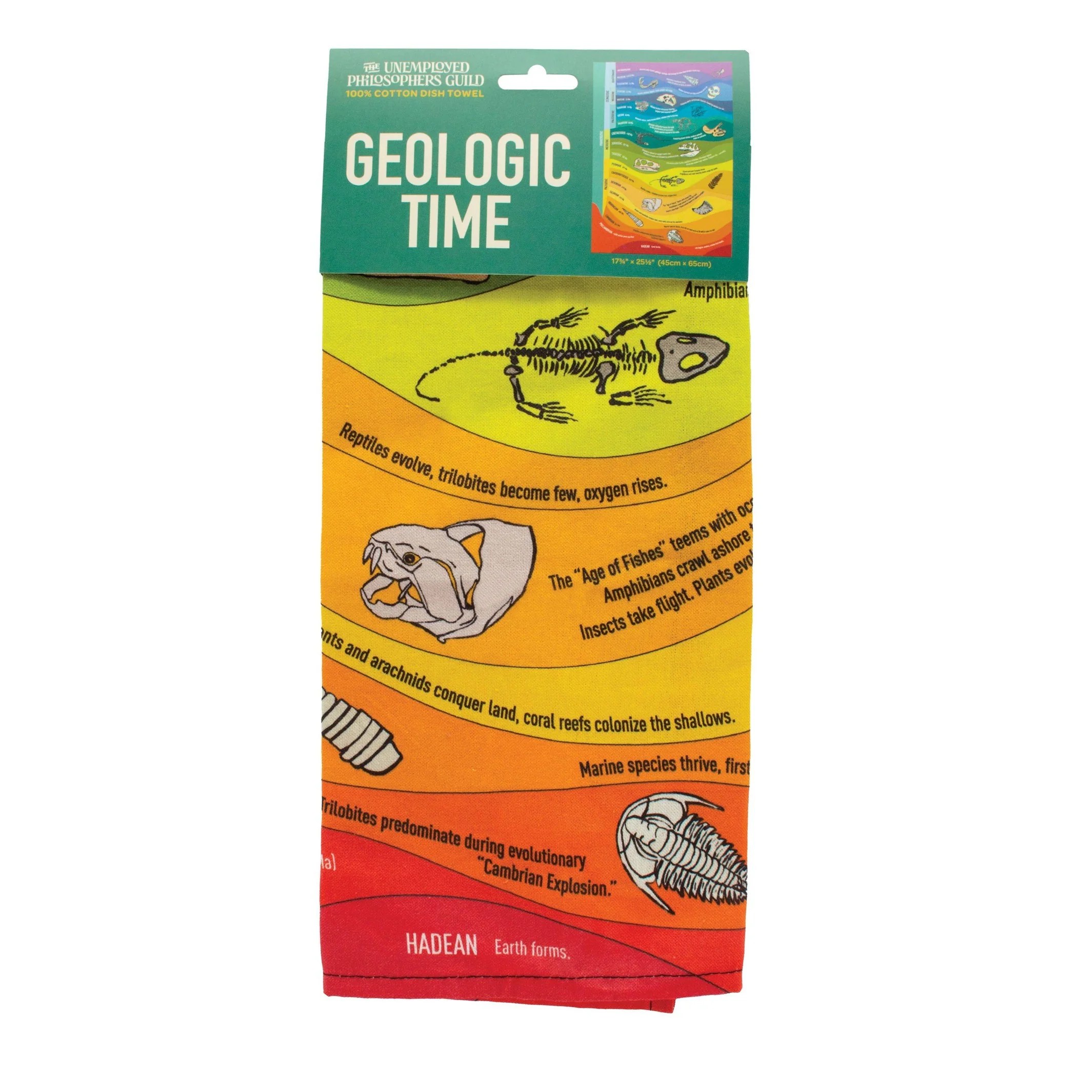 Geologic Time Towel | Kitchen Dish Tea Hand Towel | 17.25" x 25.5"