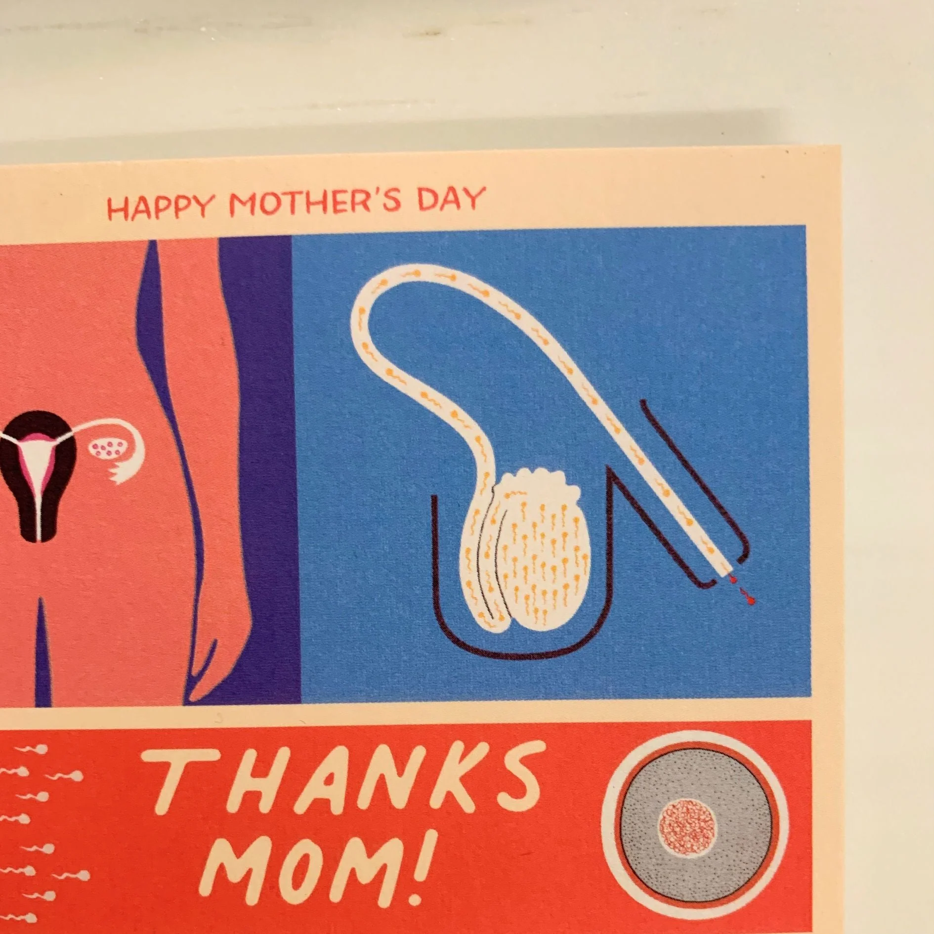 Happy Mother's Day Thanks Mom Kinda Gross Medical Diagram Greeting Card - Image 4