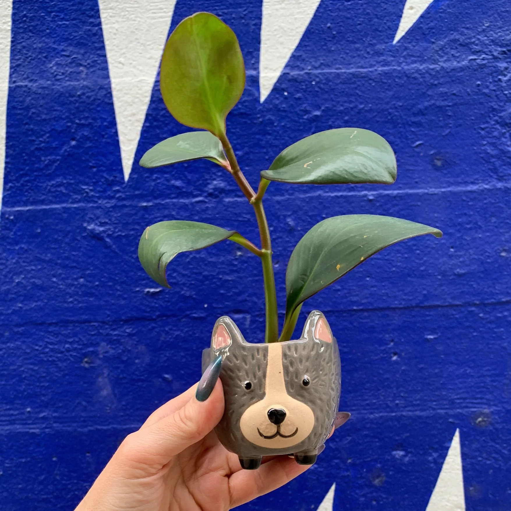 Hedgehog Pot | Decorative Ceramic Planter | 3.25" Tall - Image 9