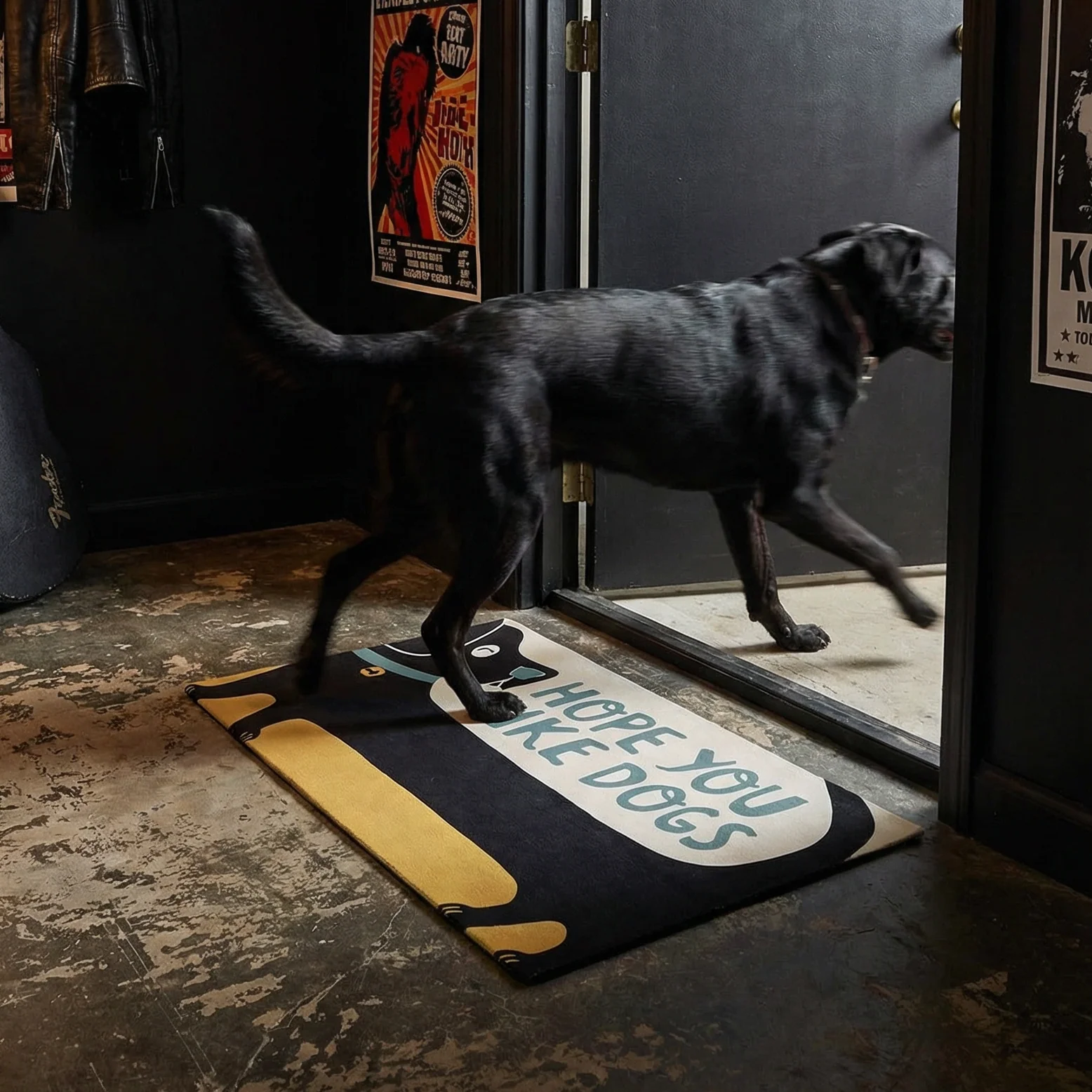 Hope You Like Dogs (& Dog Hair) Rug Bundle | Two 34" x 20" Indoor/Outdoor Rugs - Image 9