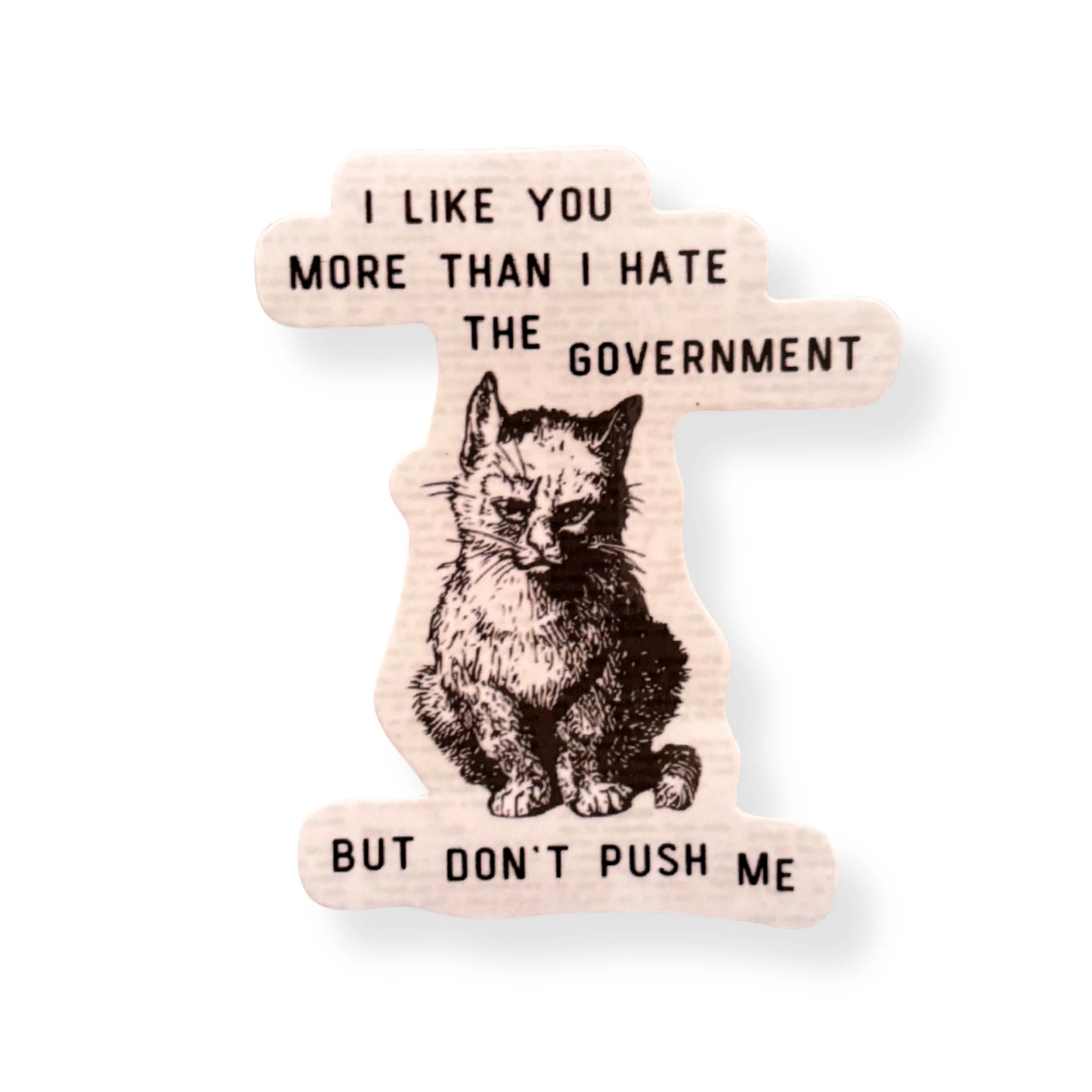 I Like You More Than I Hate the Government Victorian Cat Political Sticker - Image 2