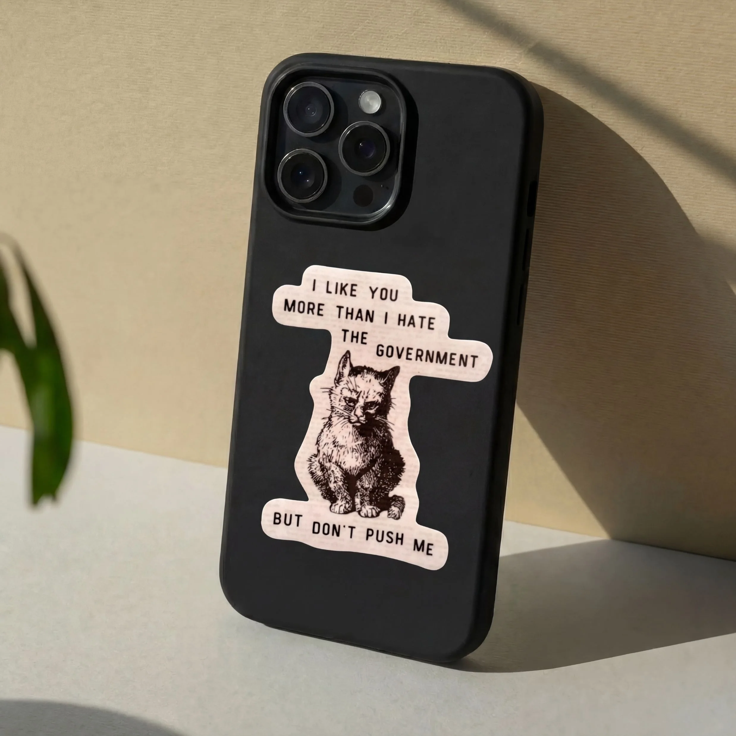 I Like You More Than I Hate the Government Victorian Cat Political Sticker - Image 3