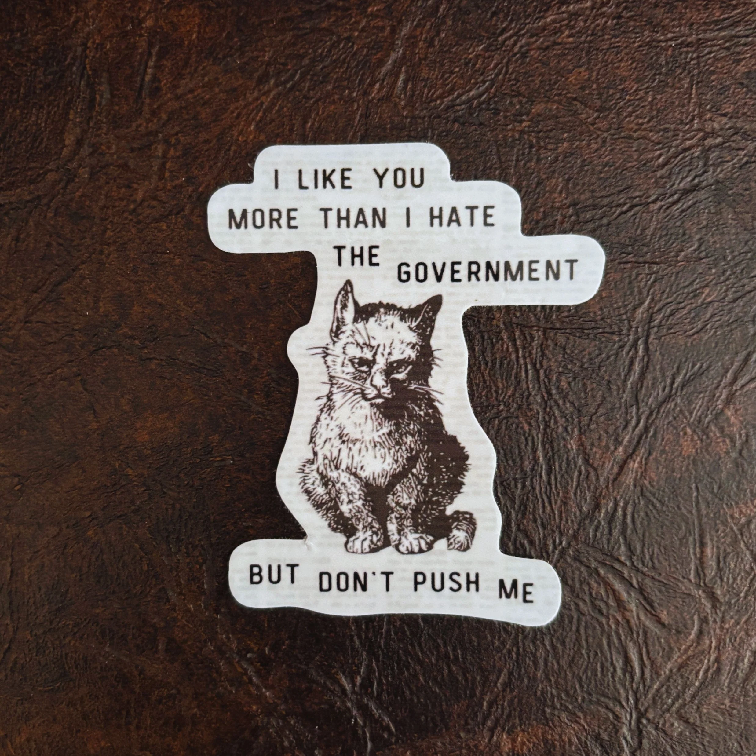 I Like You More Than I Hate the Government Victorian Cat Political Sticker - Image 4