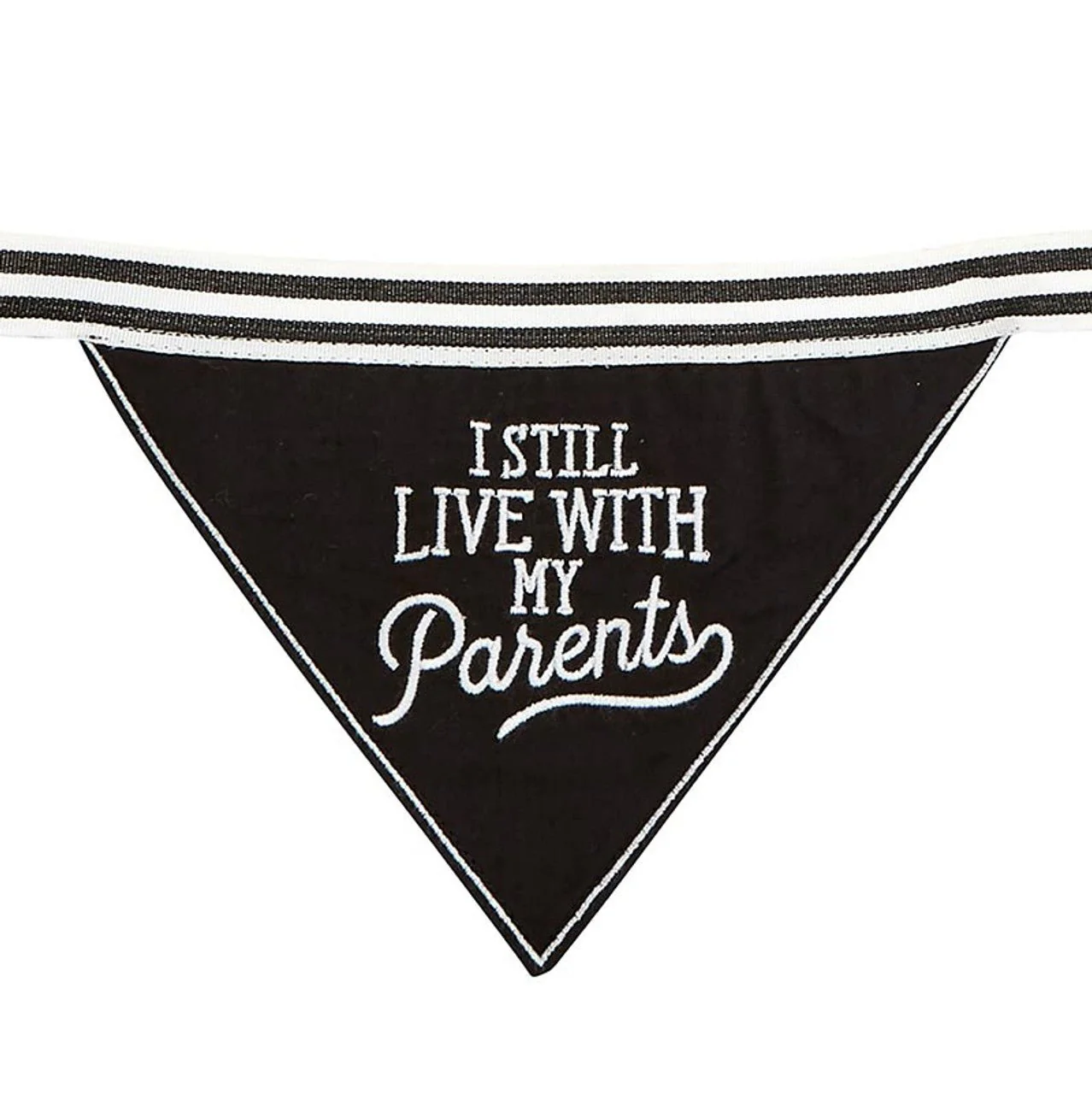 I Still Live With My Parents Black Pet Bandana | Embroidered Text - Image 3