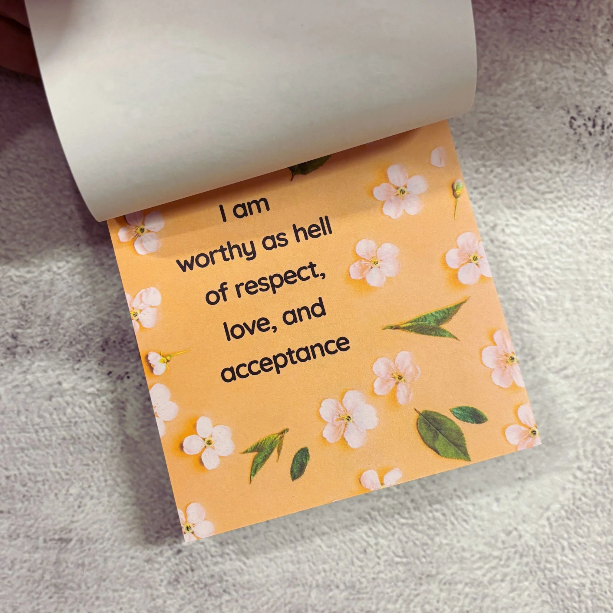 I've F⭐️cking Got This Sticky Notes | 101 Positive Affirmations - Image 10