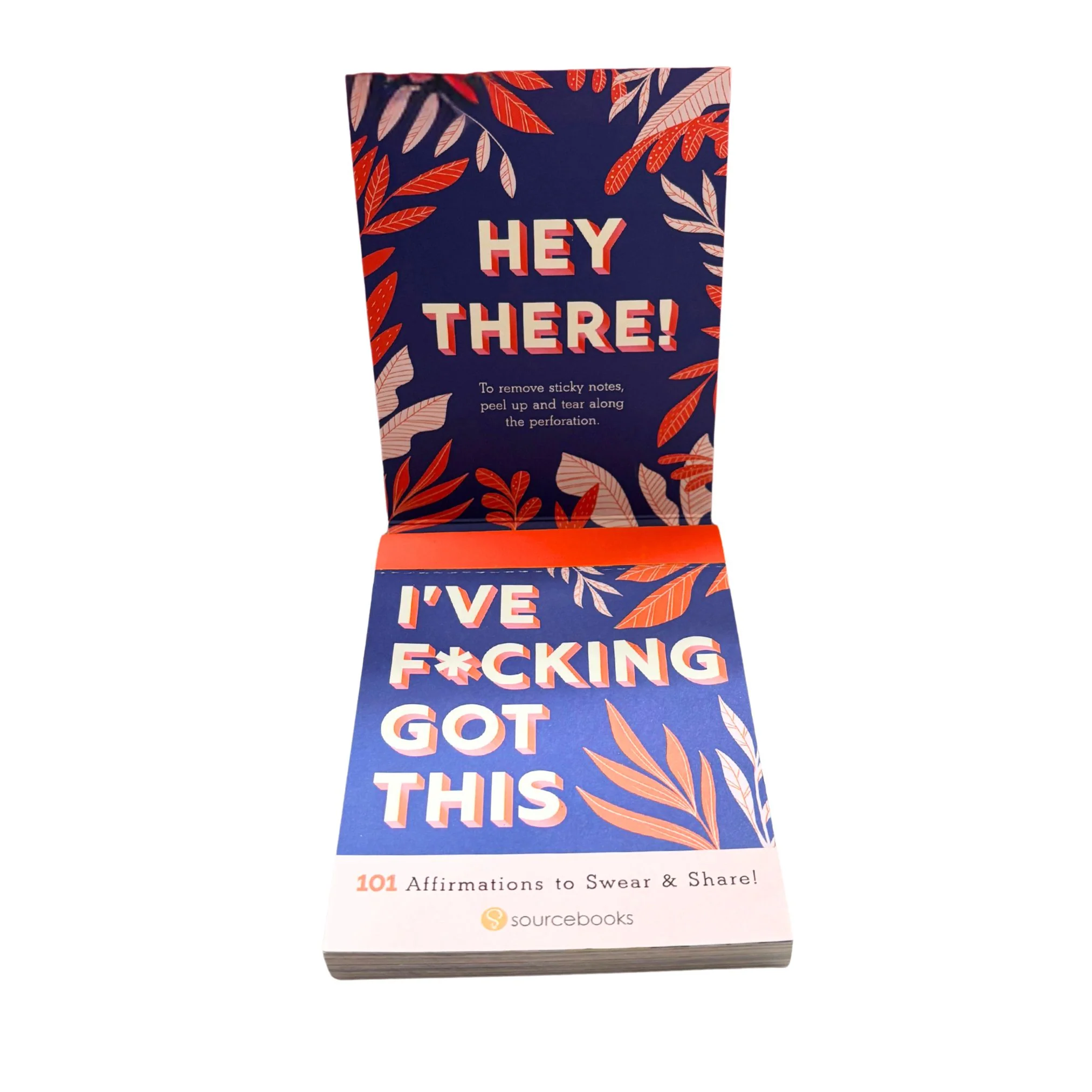 I've F⭐️cking Got This Sticky Notes | 101 Positive Affirmations - Image 9