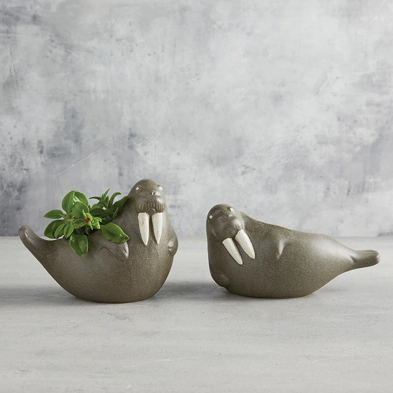 Large Laying Walrus Planter | Ceramic Aquatic Animal Design Pot | 8" x 6" - Image 4