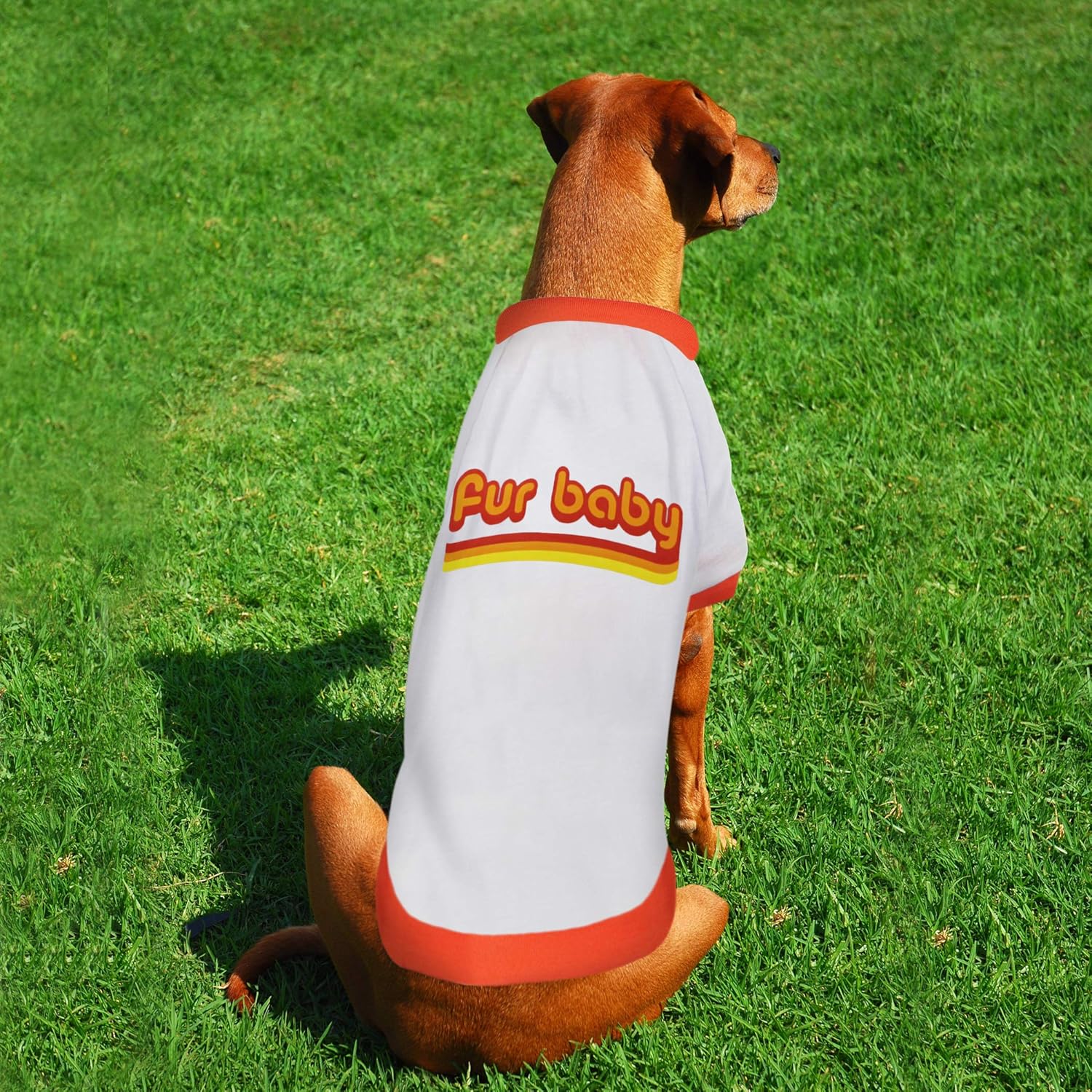 Fur Baby LaurDIY Pet Tee in White [Available in SM-L] - Image 5