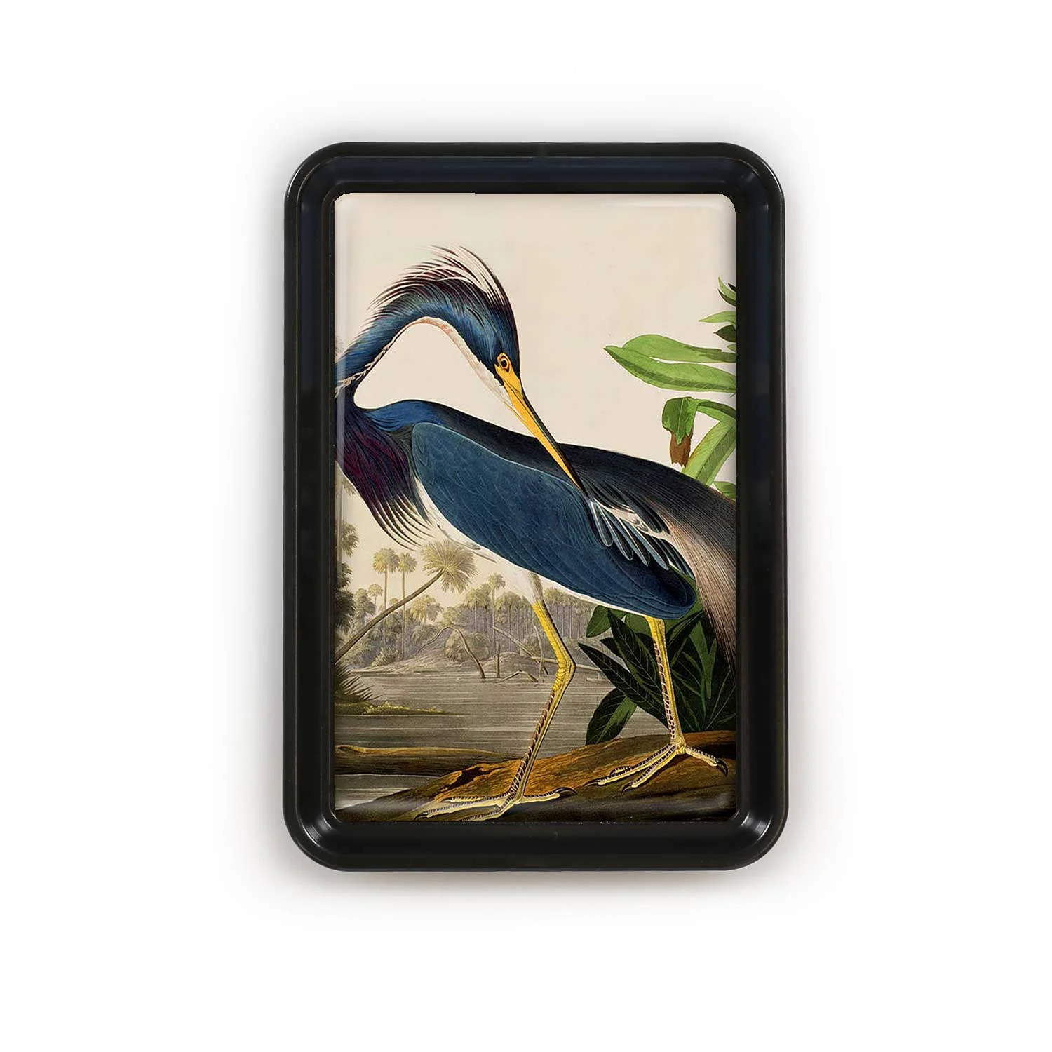 Louisiana Heron Audubon Decorative Tray | Classic Bird Art Catchall - Image 2