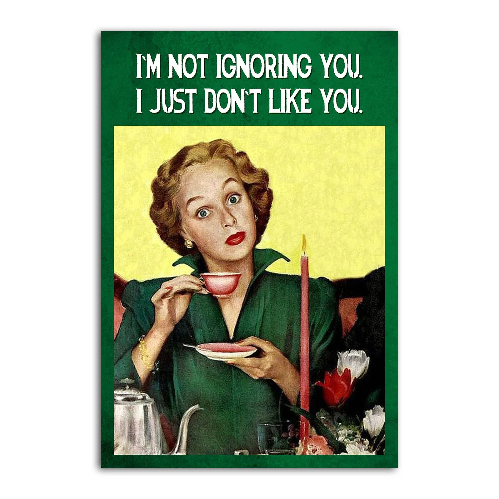 I'm Not Ignoring You. I Just Don't Like You Funny Refrigerator Magnet | Rectangular Magnetic Surface Decor | 2" x 3"