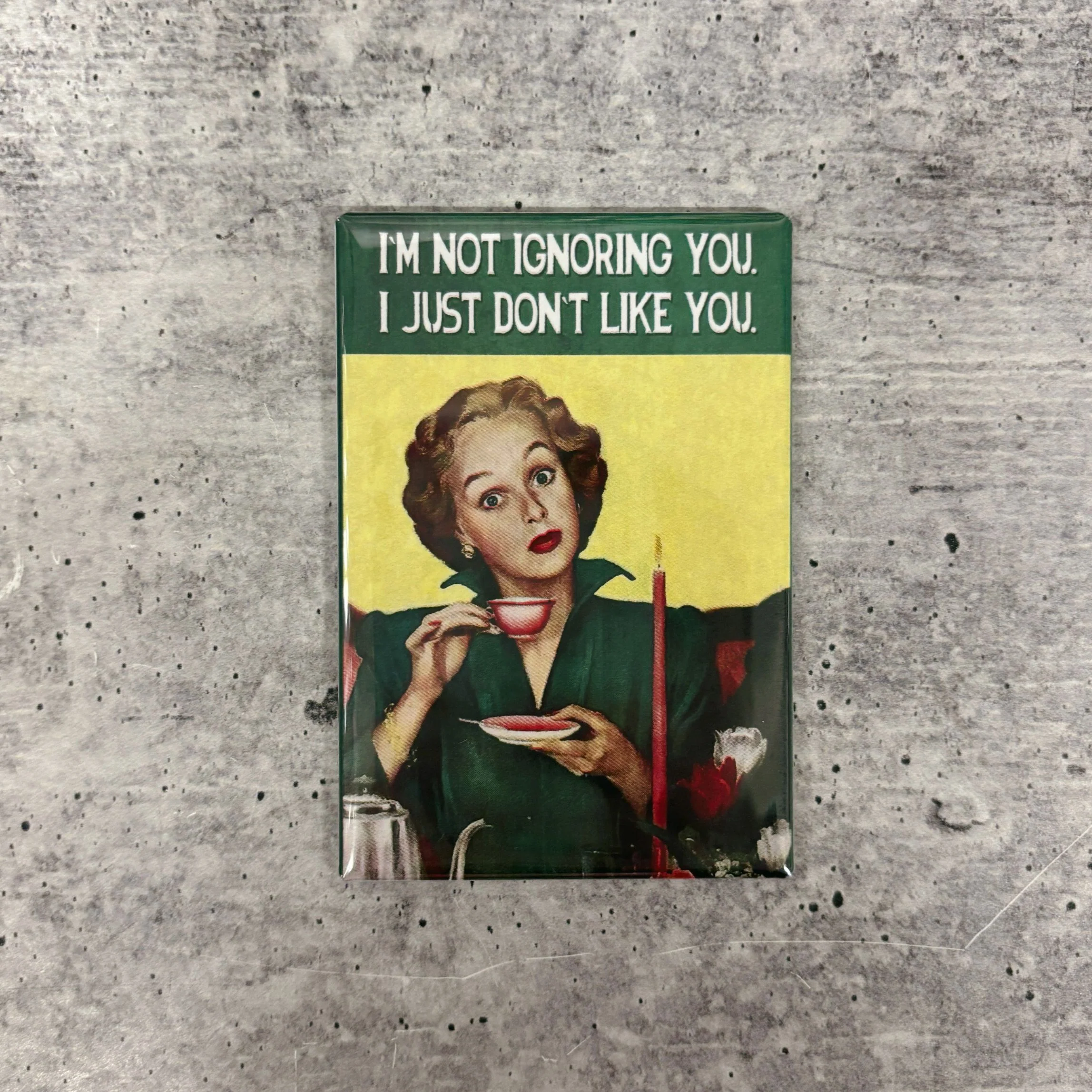 I'm Not Ignoring You. I Just Don't Like You Funny Refrigerator Magnet | Rectangular Magnetic Surface Decor | 2" x 3" - Image 2