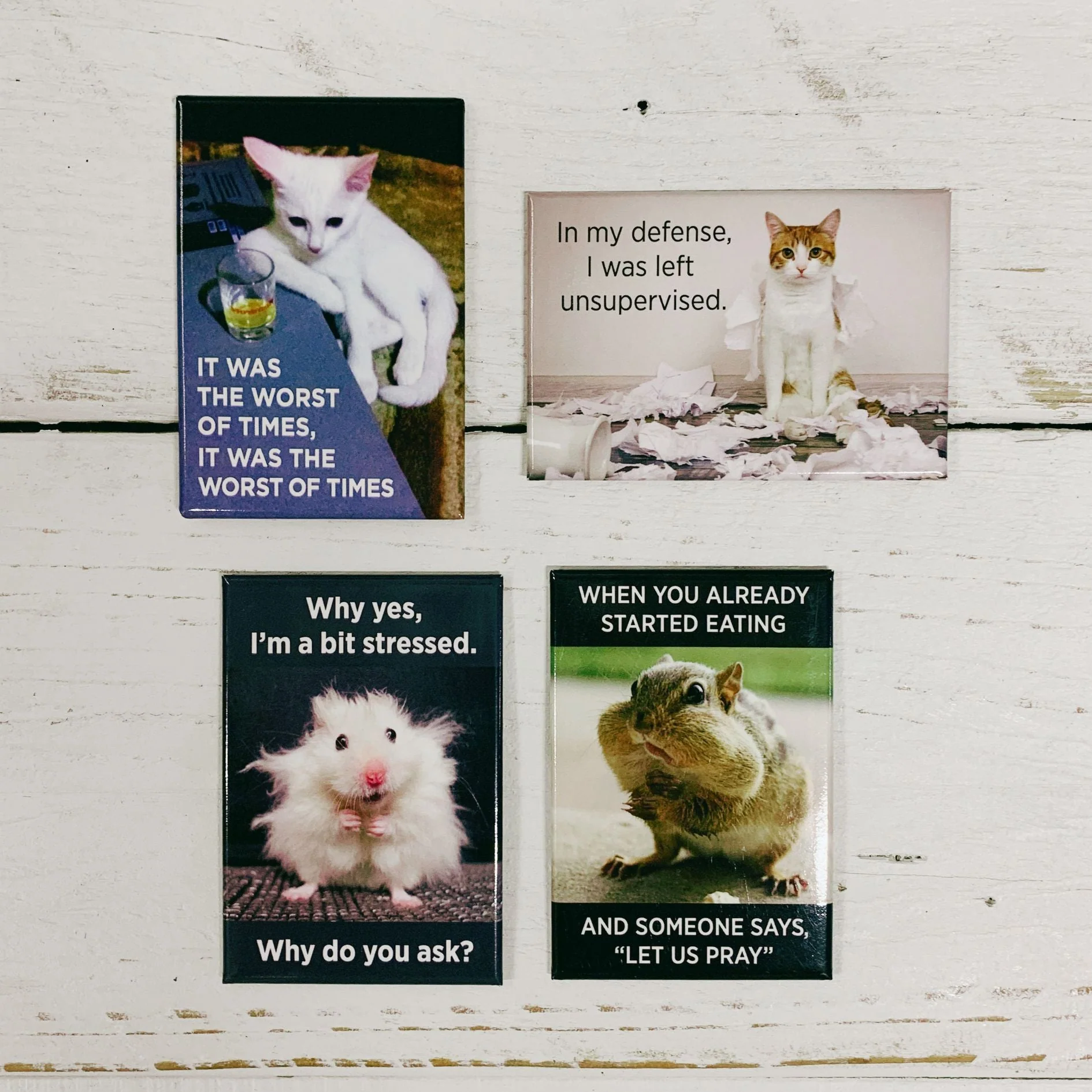 It Was The Worst Of Times, It Was Funny White Cat Magnet | Rectangular Magnetic Surface Fridge Decor | 3" x 2" - Image 5