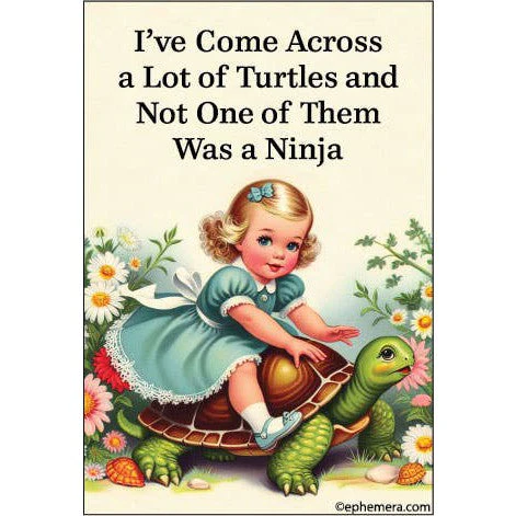 I've Come Across a Lot Of Turtles and Not One of Them Was a Ninja Rectangular Magnet | Fridge Magnetic Surface Magnet Decor | 3" x 2"