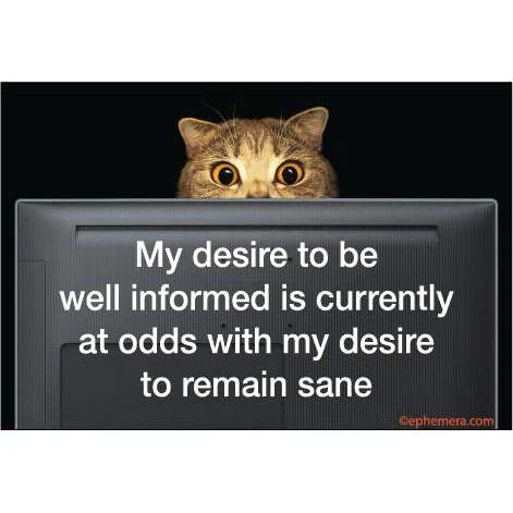 My Desire To Be Well Informed Is Currently At Odds With My Desire To Remain Sane Magnet | 3" x 2"