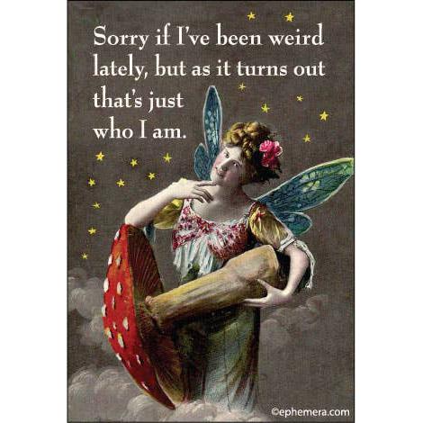 Sorry If I've Been Weird Lately Fairy Rectangular Magnet | Refrigerator Magnetic Surface Decor