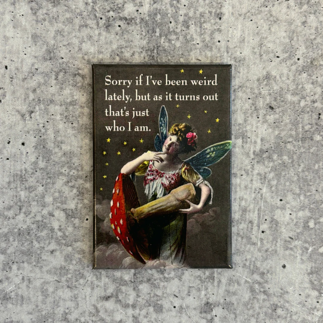 Sorry If I've Been Weird Lately Fairy Rectangular Magnet | Refrigerator Magnetic Surface Decor - Image 2